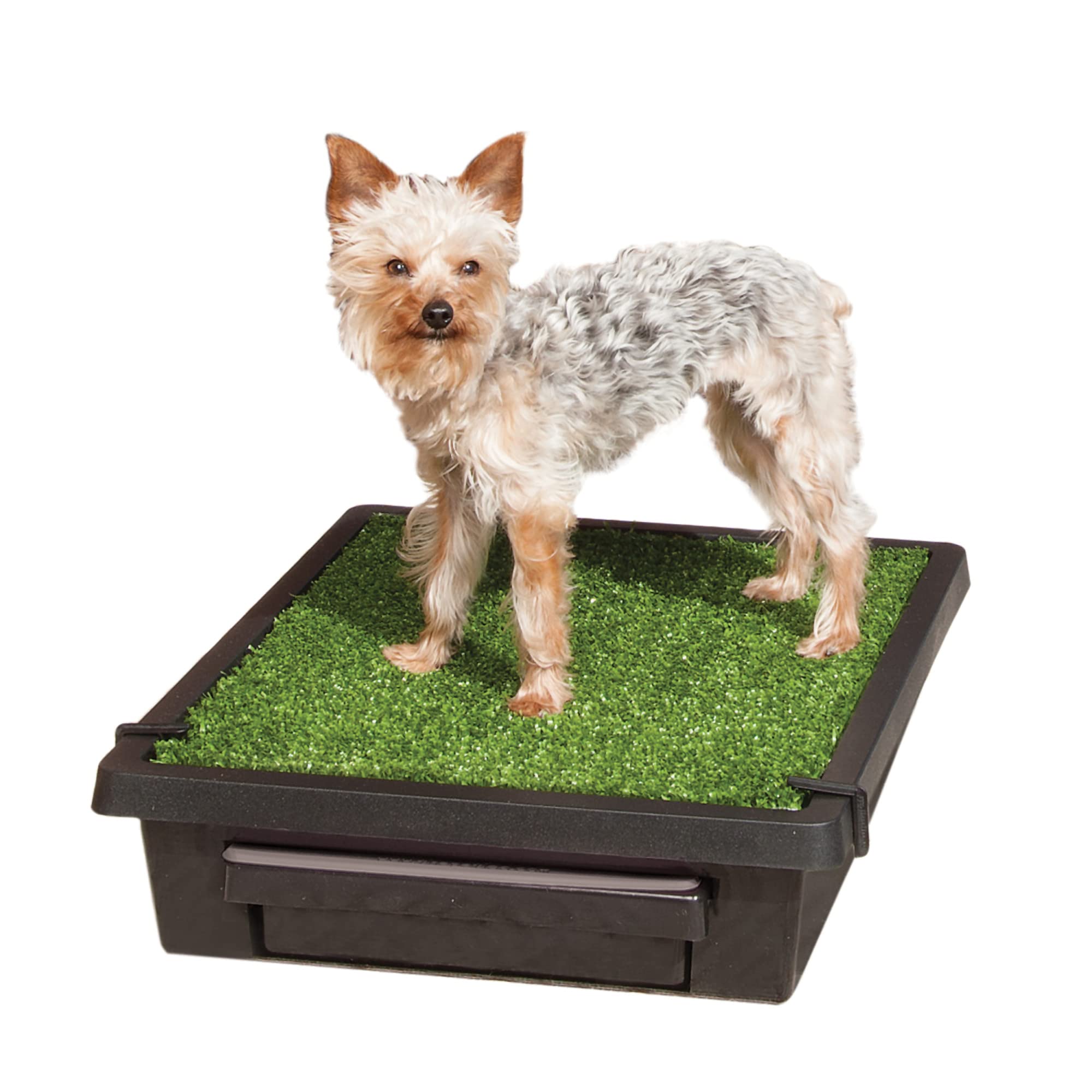 PetSafe Pet Loo Portable Dog Potty - Pet Toilet Alternative for Puppy Pads - Small - Perfect for House Training - Easy-to-Clean 