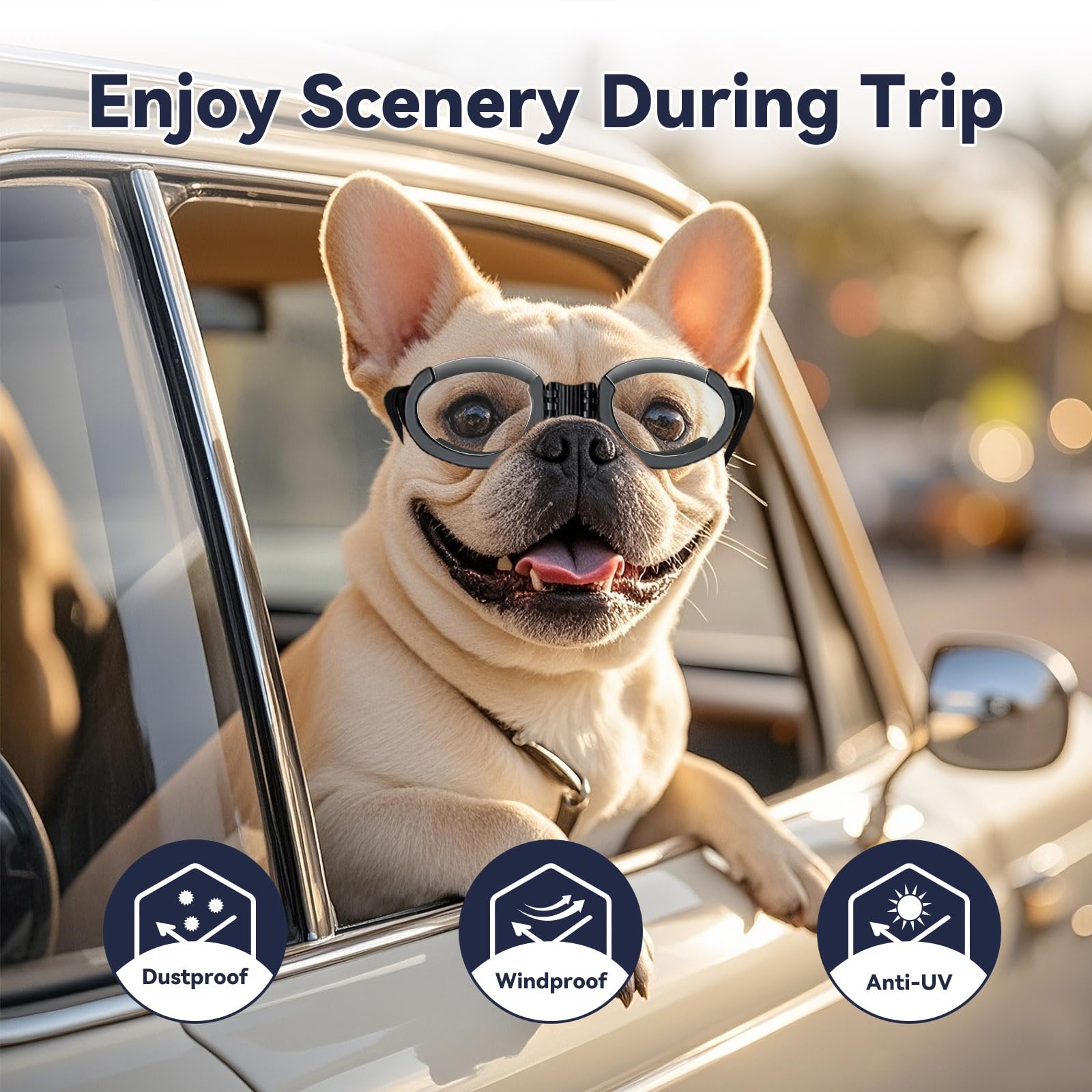 Billionchains Dog Goggles With Replaceable Lens Eye Protection Dog Sunglasses For Small To Medium Breed For Outdoor Riding/Drivi