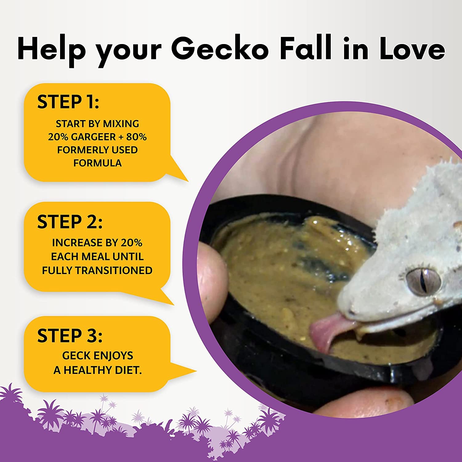 Gargeer 16oz Complete Crested Gecko Food Diet. Premium Mix, Ready to Use Freshly Made Powder. Unique Formula, Developed & Made i
