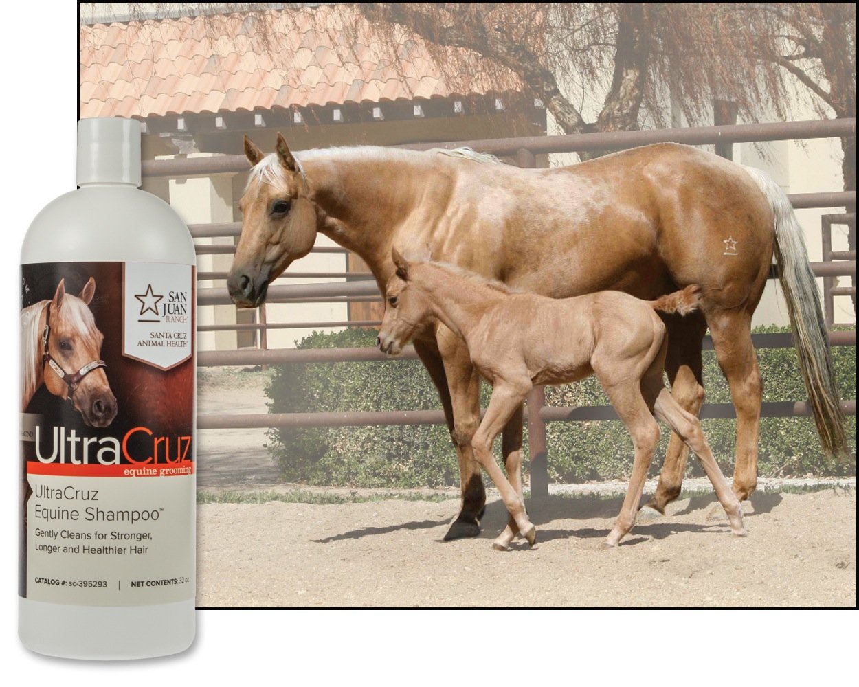 Ultracruz-Sc-395293 Equine Horse Shampoo, 32 Oz
