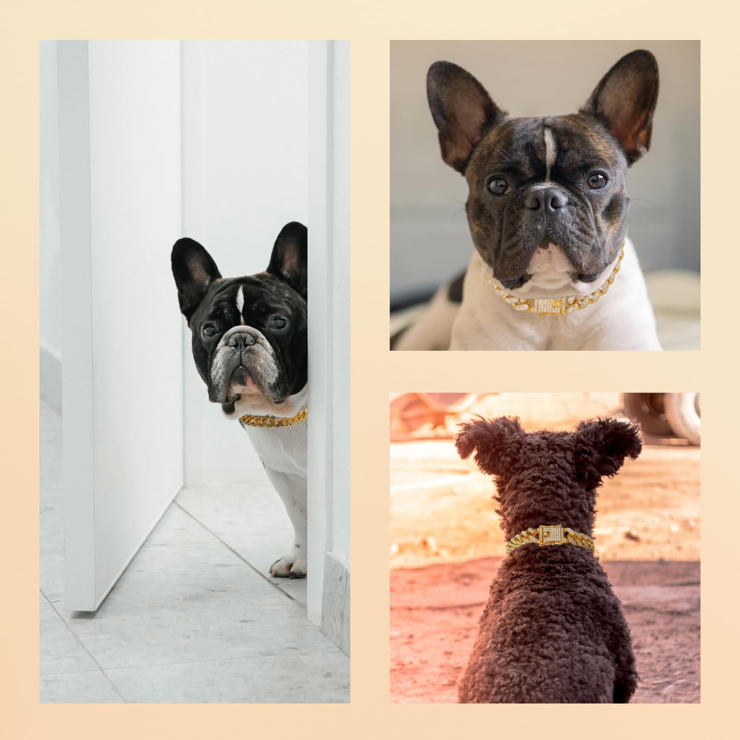 Dog Chain Diamond Collar 18K Gold Plated Walking Metal Chain 12 Mm Wide Necklace With Secure Buckle Pet Cuban Style Collar Jewel