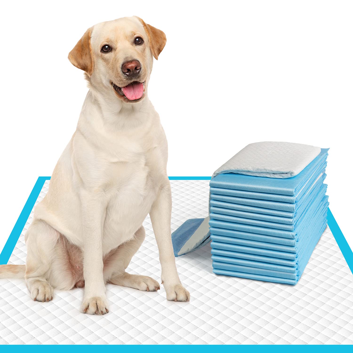 Immcute Extra Large Dog Pee Pads 28''X30''-50 Count | X-Large Puppy Pee Training Pads Super Absorbent & Leak-Proof | Disposable 