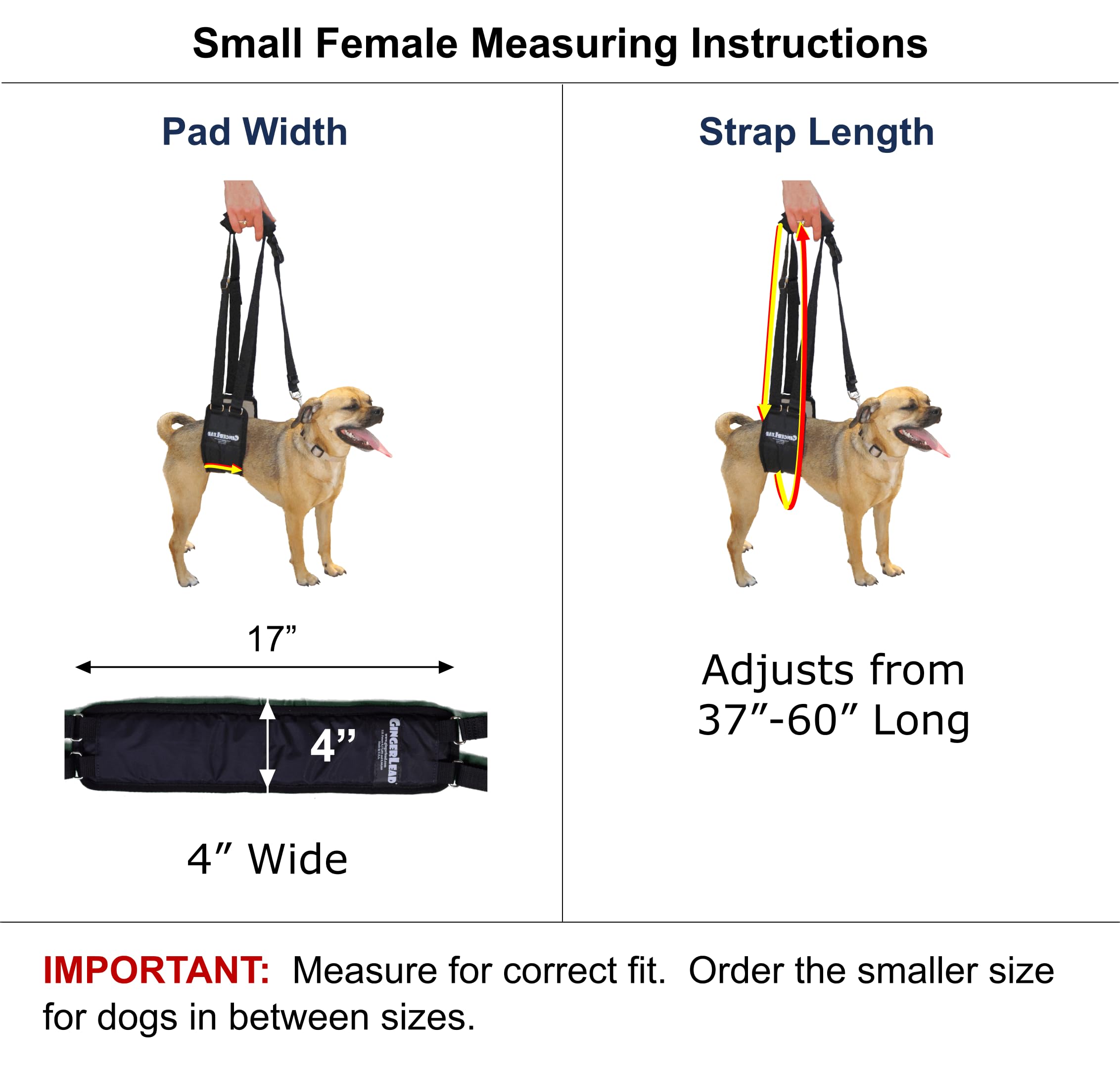 GINGERLEAD Dog Sling Support Harness, SM Female fits Small to Medium Size Pets or Larger Barrel Chested Dogs Like Boxers or Bull