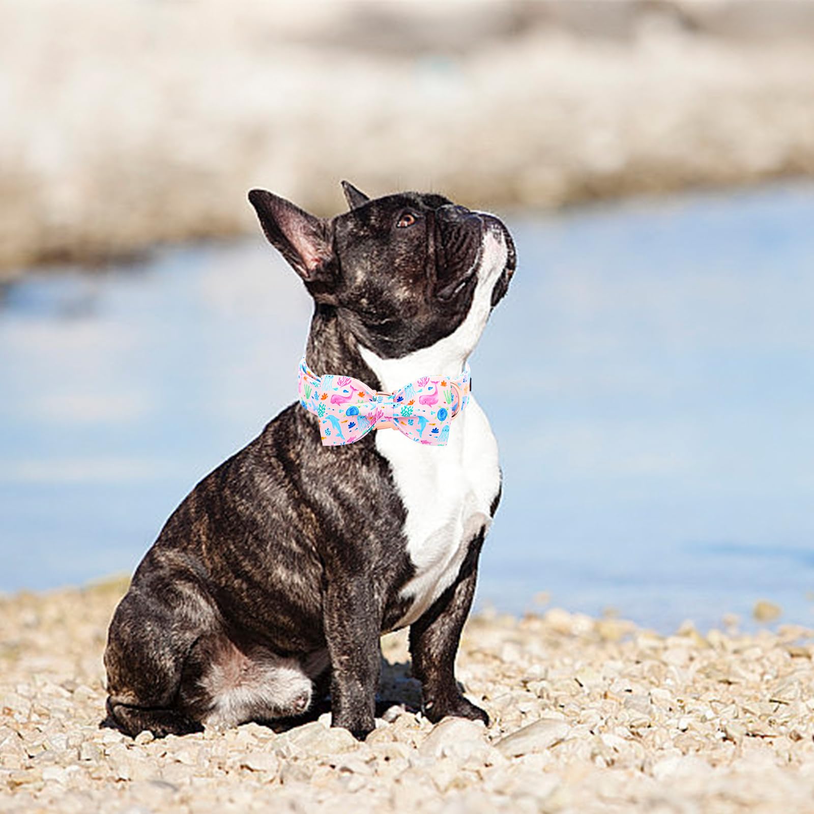 Lionheart Glory Dog Bow Collar Sea Animals Print Pink Dog Collar For X-Small Dogs,Female Male Dog Collars With Bowtie Spring Sum