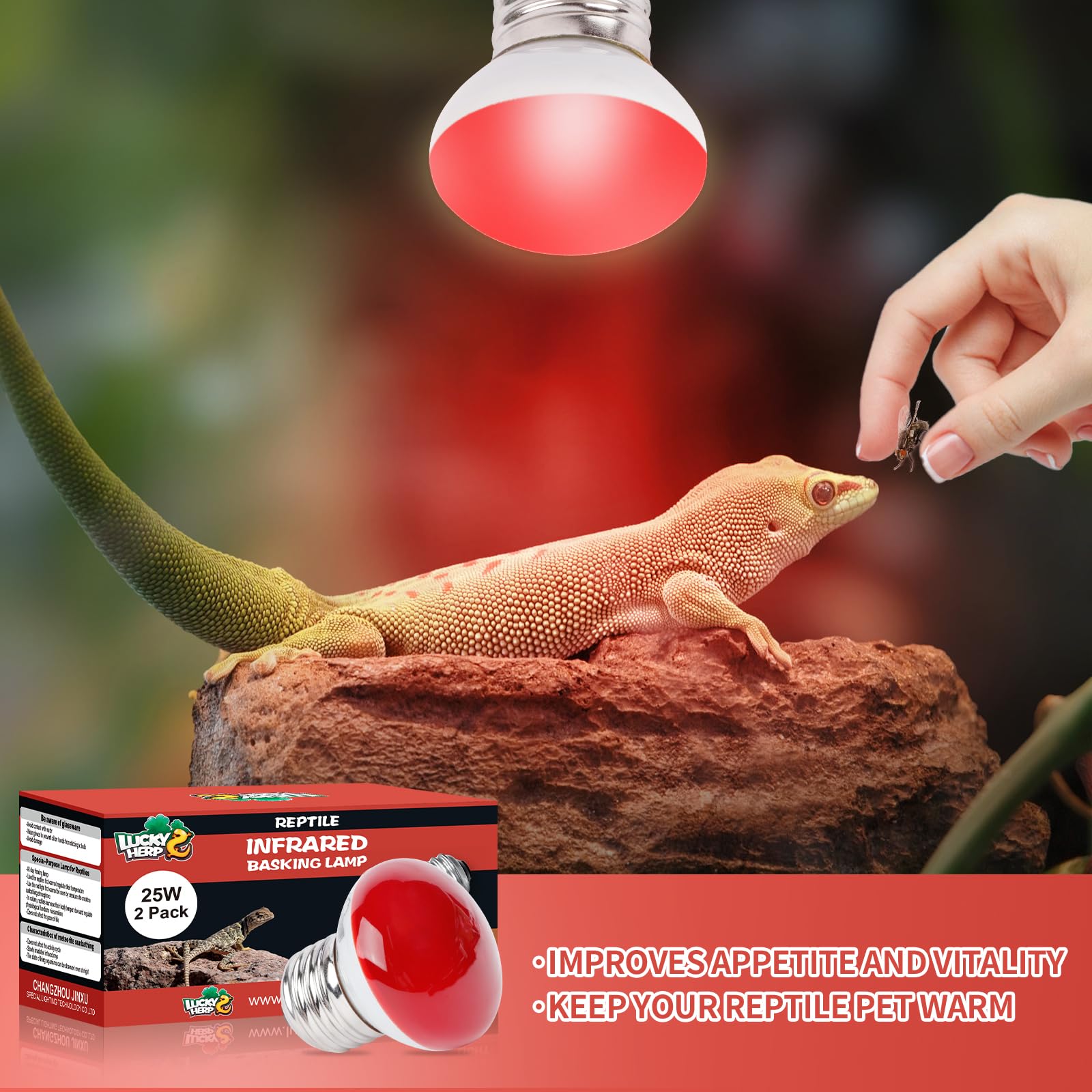 LUCKY HERP Infrared Heat Lamp, 25W Reptile Heat Lamp 2 Pack Red Heat Lamp Bulbs, Infrared Basking Spot Heat Light Bulb, Amphibia