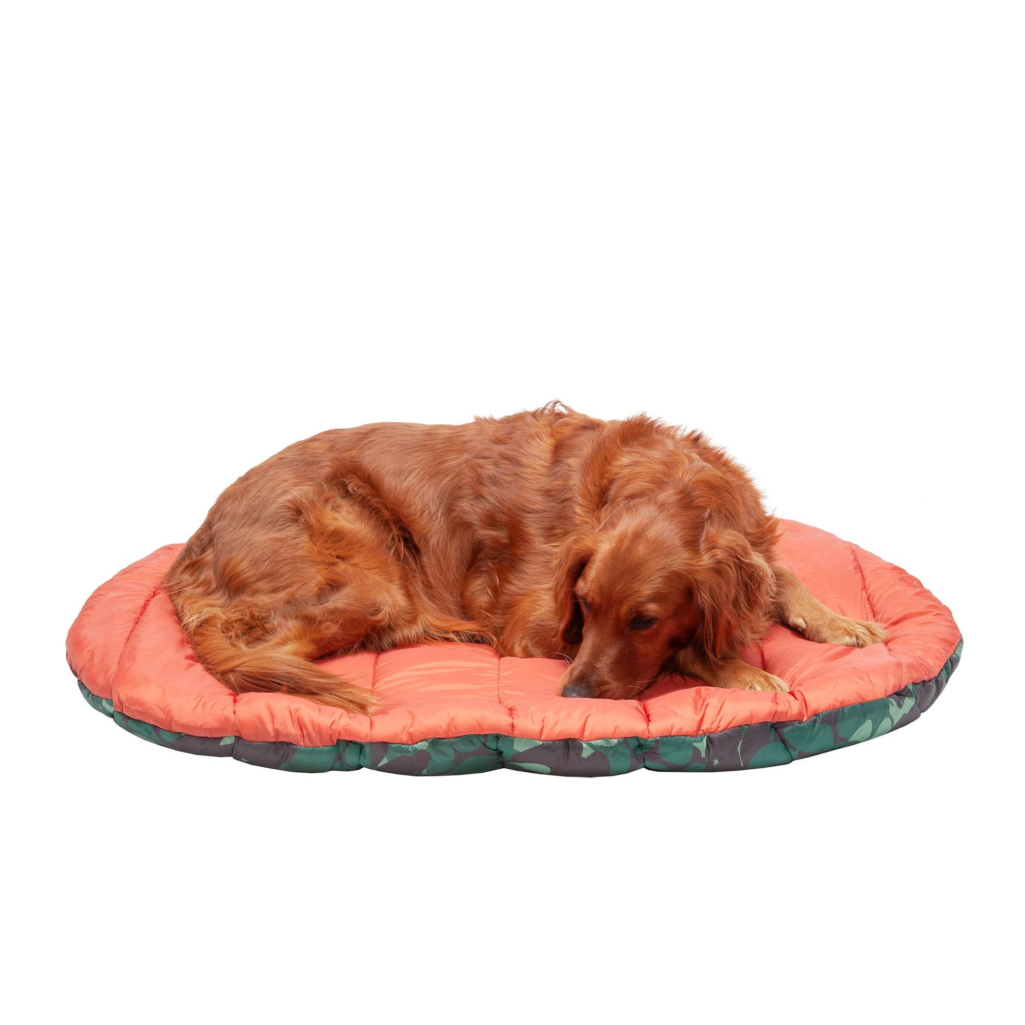 Furhaven Outdoor Travel Dog Bed For Large/Medium Dogs W/ Carry Bag, Washable & Foldable, Great For Crates & Kennels - Trail Pup
