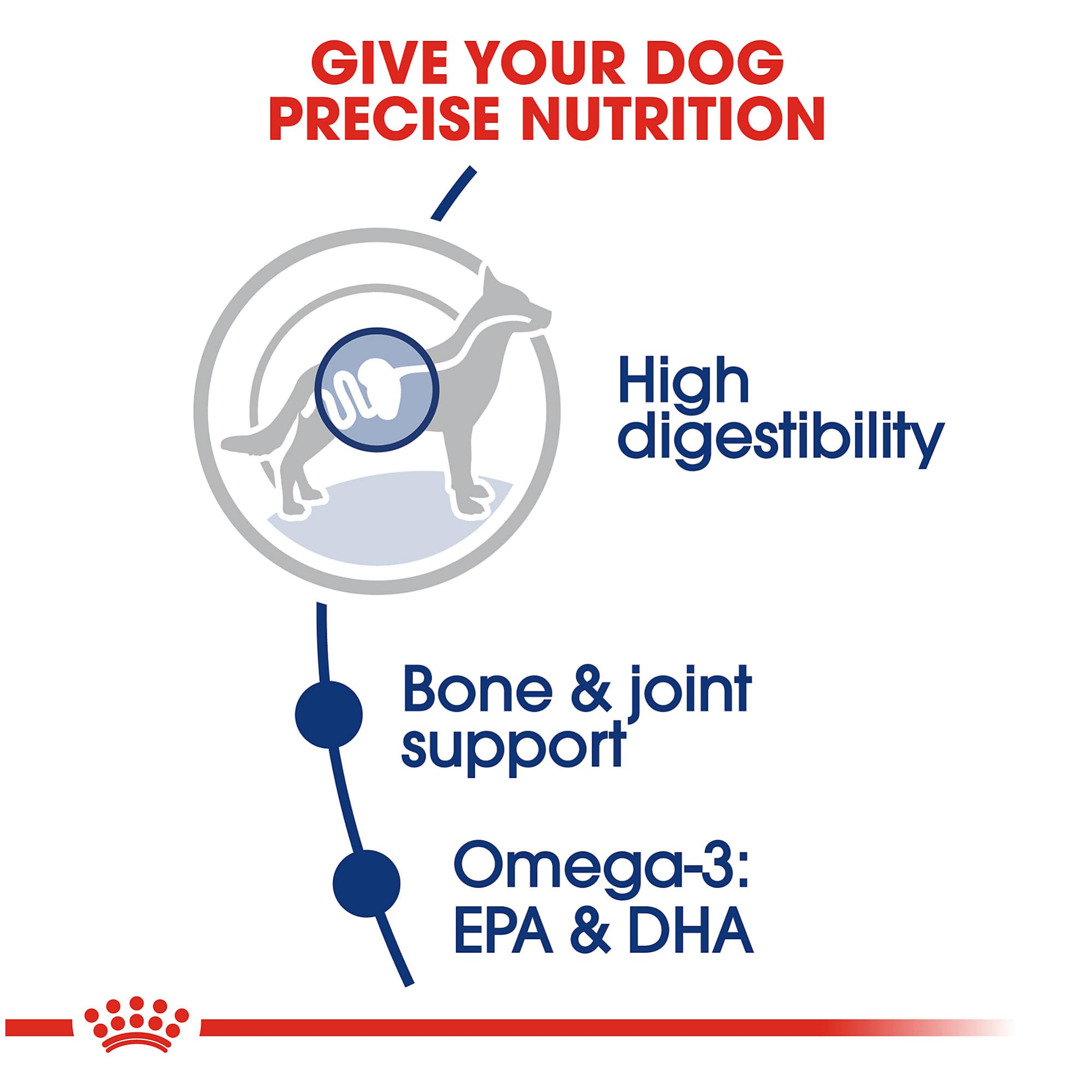 Royal Canin Large Breed Adult Dry Dog Food, 30 lb Bag
