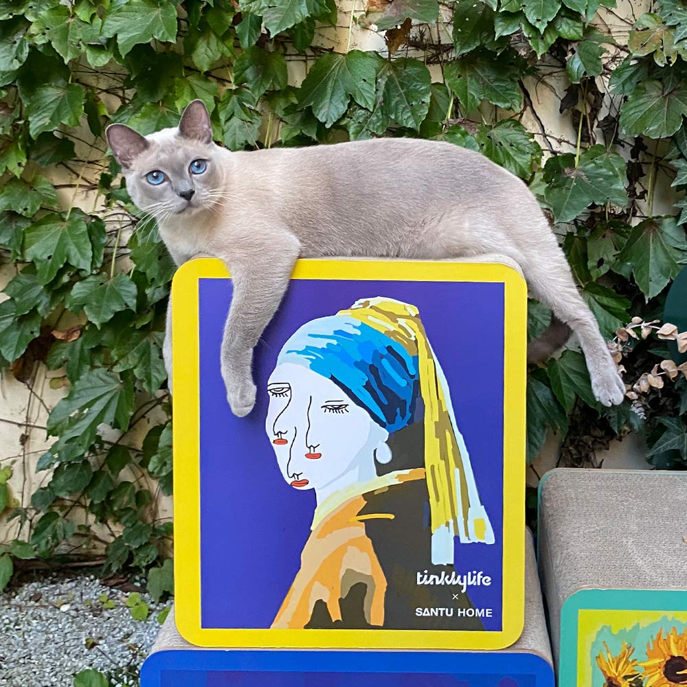 Fluffydream Cat Scratcher Cardboard, Girl With A Pearl Earring Shape Adaptation Spoof Version Cat Scratching House Bed Furniture