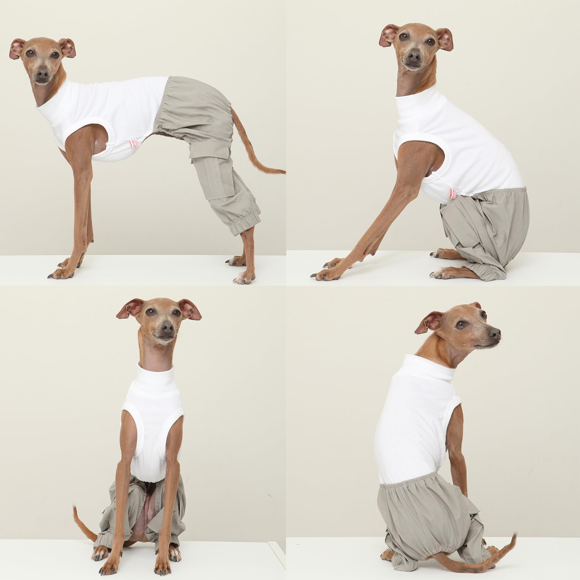 D DOGGY STAR Italian Greyhound Clothes Cargo Pants Onesie Outfit Whippet for Dog Coat (M,DNM Star Cargo)