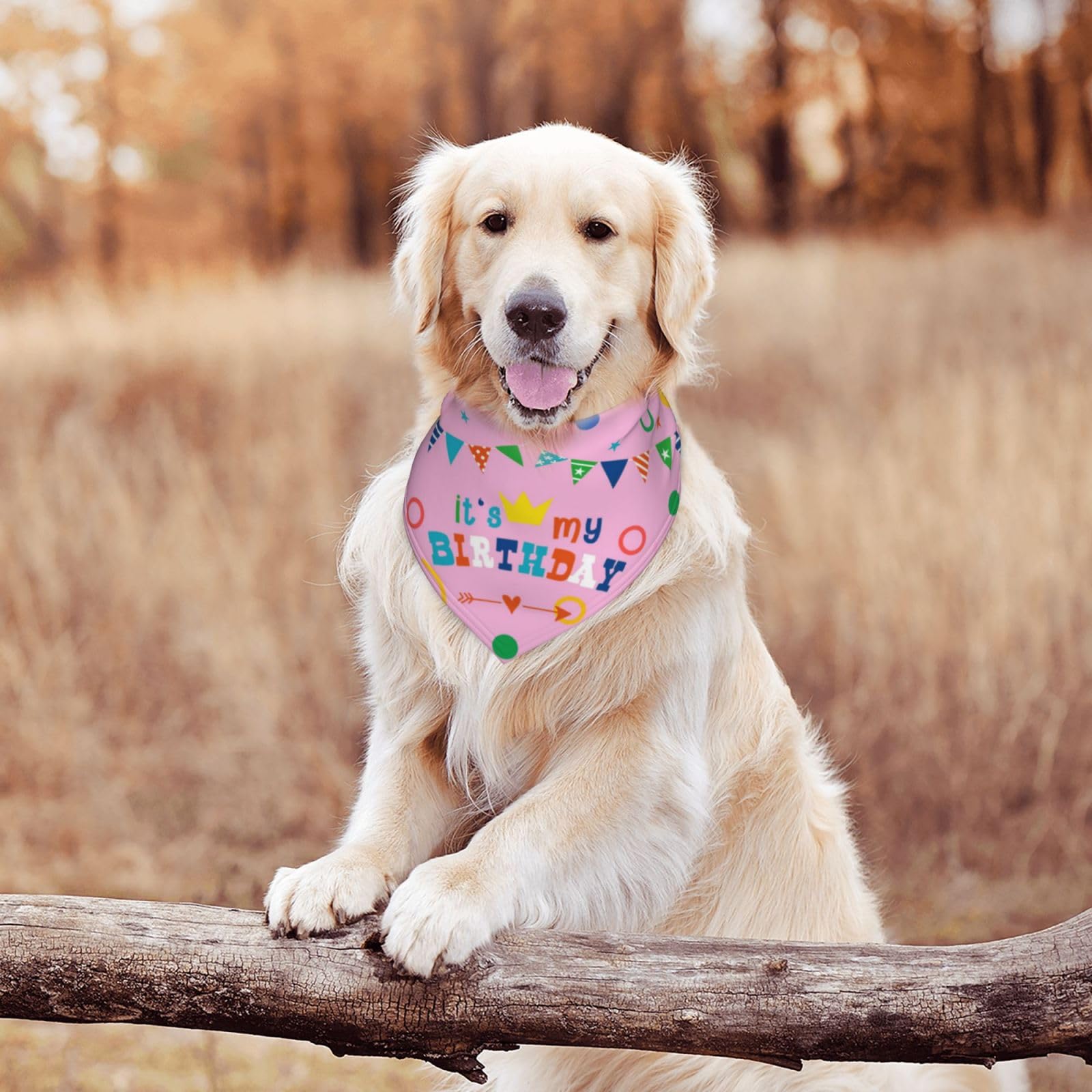 It'S My Birthday Pink Dog Bandana Scarf Triangle Bibs Pet Accessories Cat Kerchief
