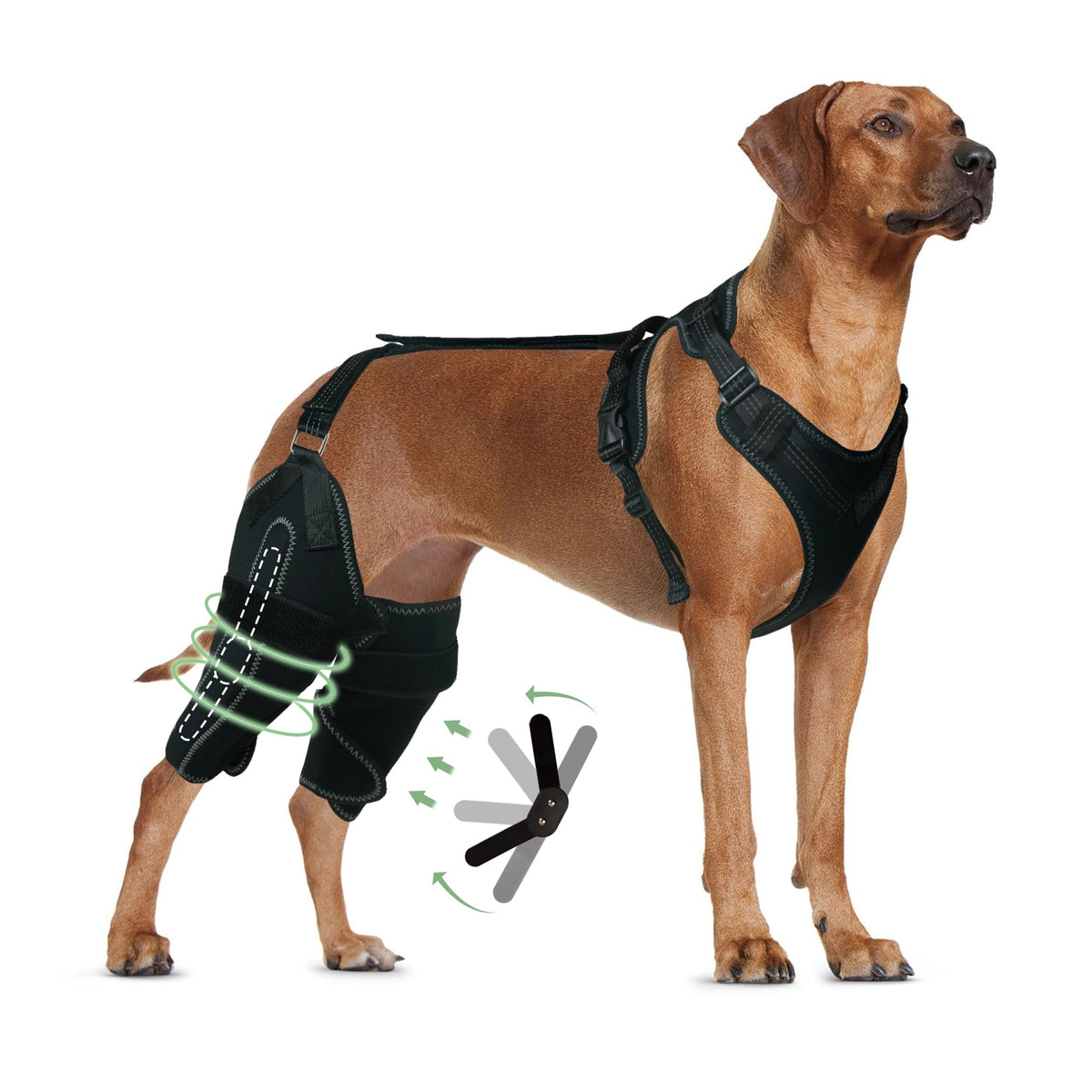 Lispoo Dog Knee Brace For Torn Acl Hind Leg,Dog Leg Braces For Back Leg For Support Luxating Patella,Cruciate Ligament,Dog Acl Knee Brace Warm Joint And Relief Pain,Dog Knee Brace(M)