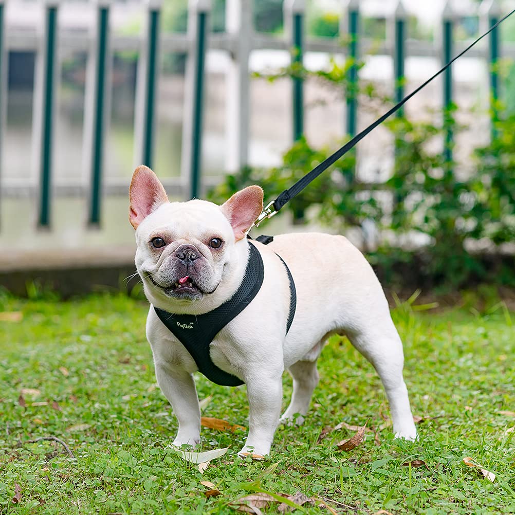 Pupteck Soft Mesh Dog Harness And Leash Set Pet Puppy Cat Comfort Padded Vest No Pull Harnesses, Solid Black, Xs