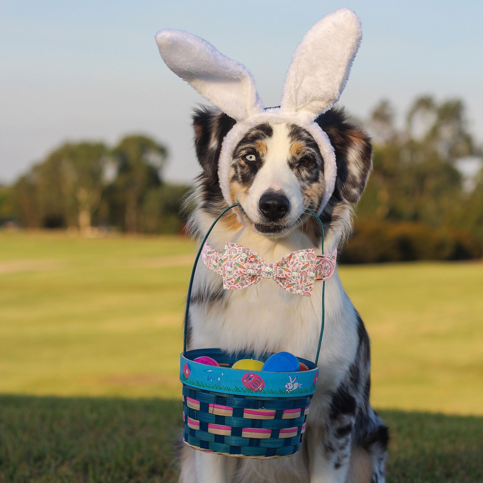 Babole Pet Easter Dog Collar With Bow Tie - Bunny Pattern Pink Bowtie Adjustable Heavy Duty Spring Collar For Small Medium Large
