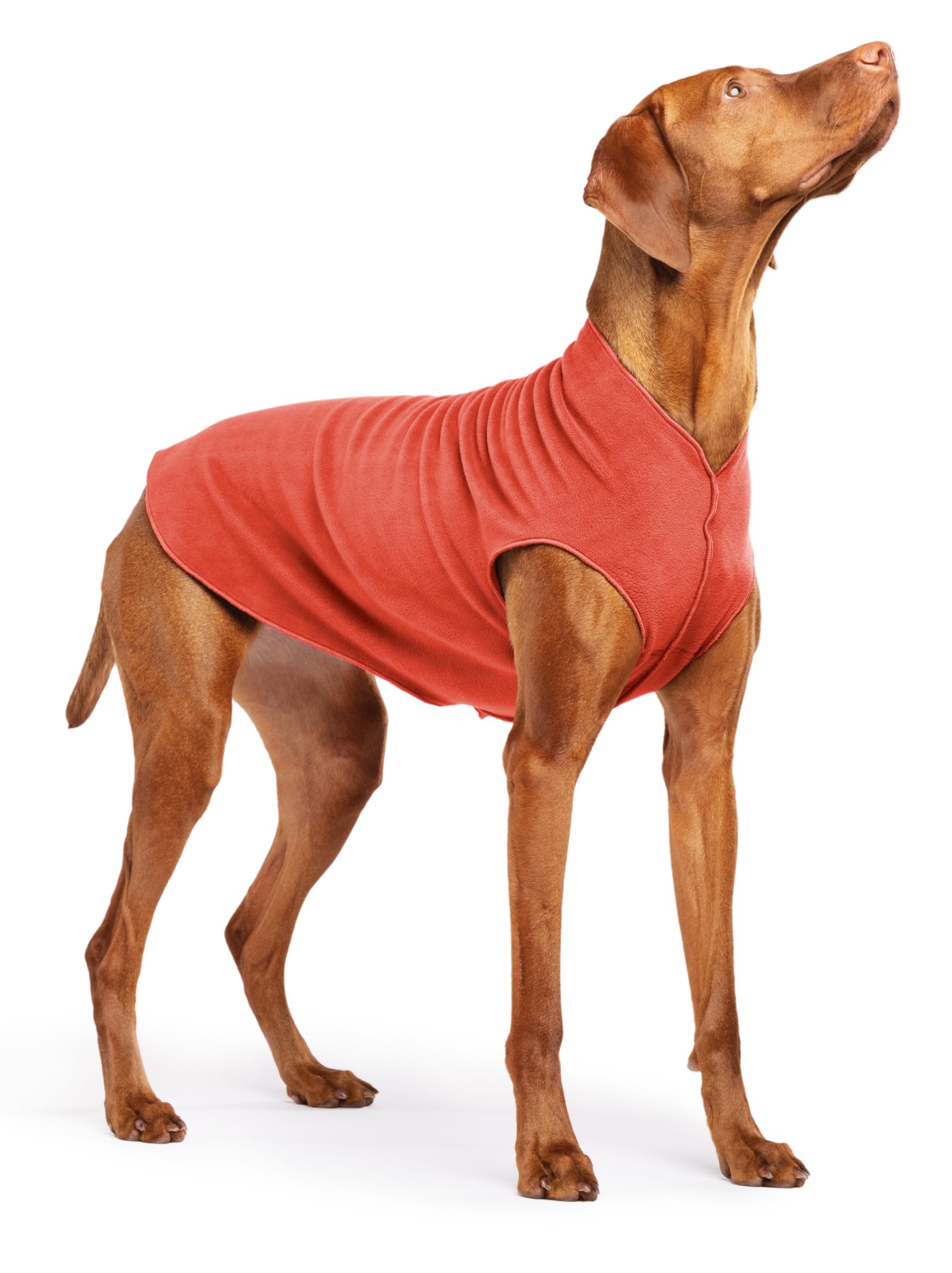 Gold Paw Stretch Fleece Dog Coat, Stretchy Pet Sweater, Machine Washable Pullover For Winter And Fall, Paprika, 18