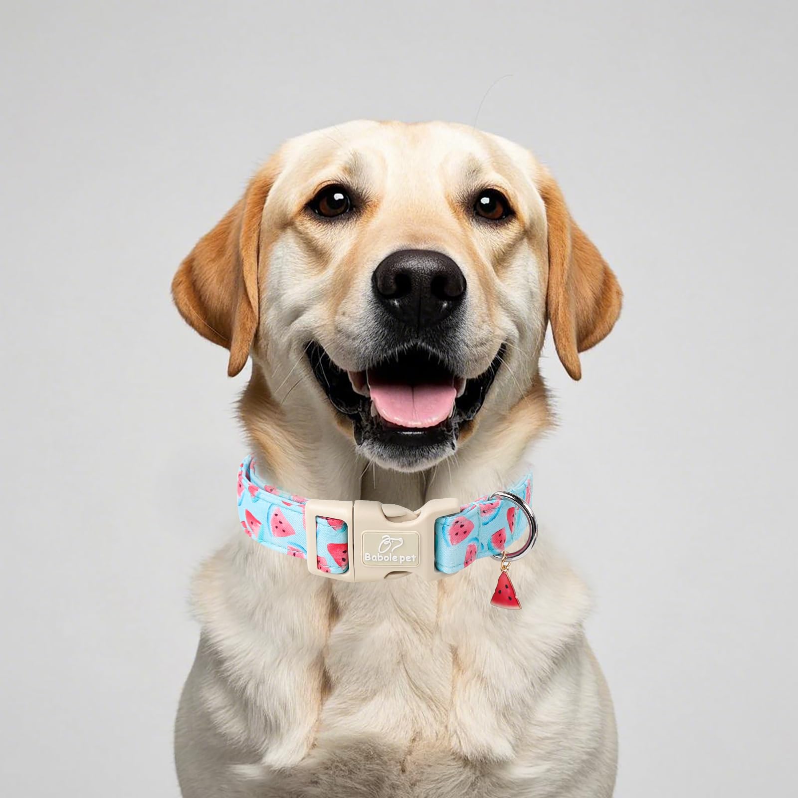 Babole Pet Adjustable Summer Dog Collar, Cute Watermelon Dog Collars For Puppy & Tiny Dogs, Lightweight Quick-Release Buckle Col