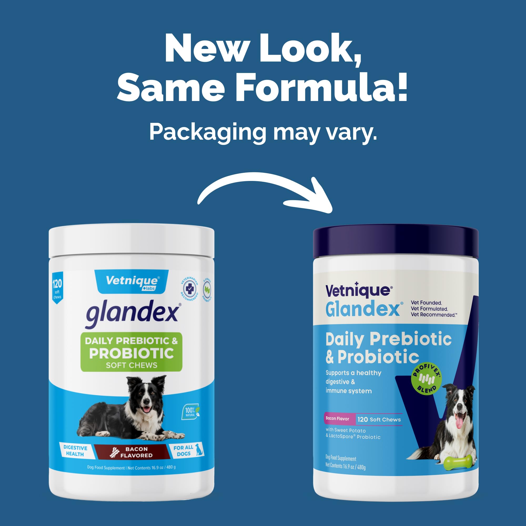 Vetnique Glandex Daily Probiotics for Dogs with Prebiotics to Support Gut Health with Fiber and Digestive Enzymes, Probiotic Che