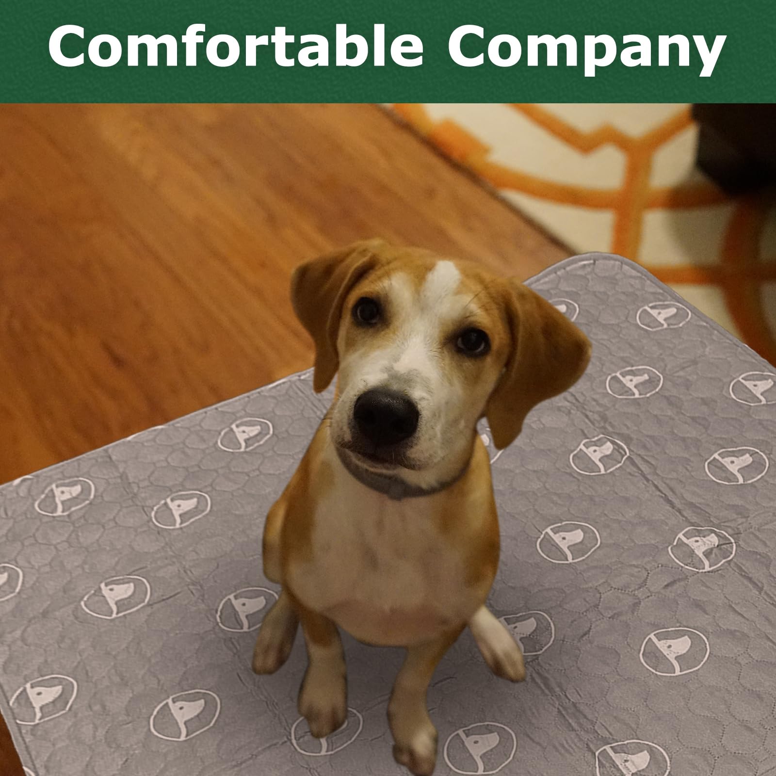 Pjyucien Machine Washable Square Dog Playpen Mat, 36 Inches Wide, Non-Slip Pet Pen Pee Pad, Suitable For Indoor/Outdoor Puppy Tr