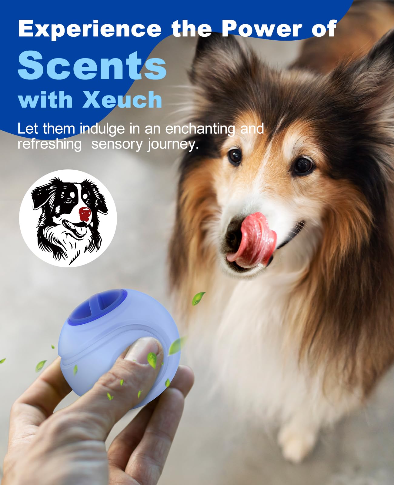 Xeuch LED Dog Ball Rechargeable, Light Up Dog Ball Toys, Bounce-Activated Durable Fetch Ball, Natural Rubber, Unique Scent, 2.5