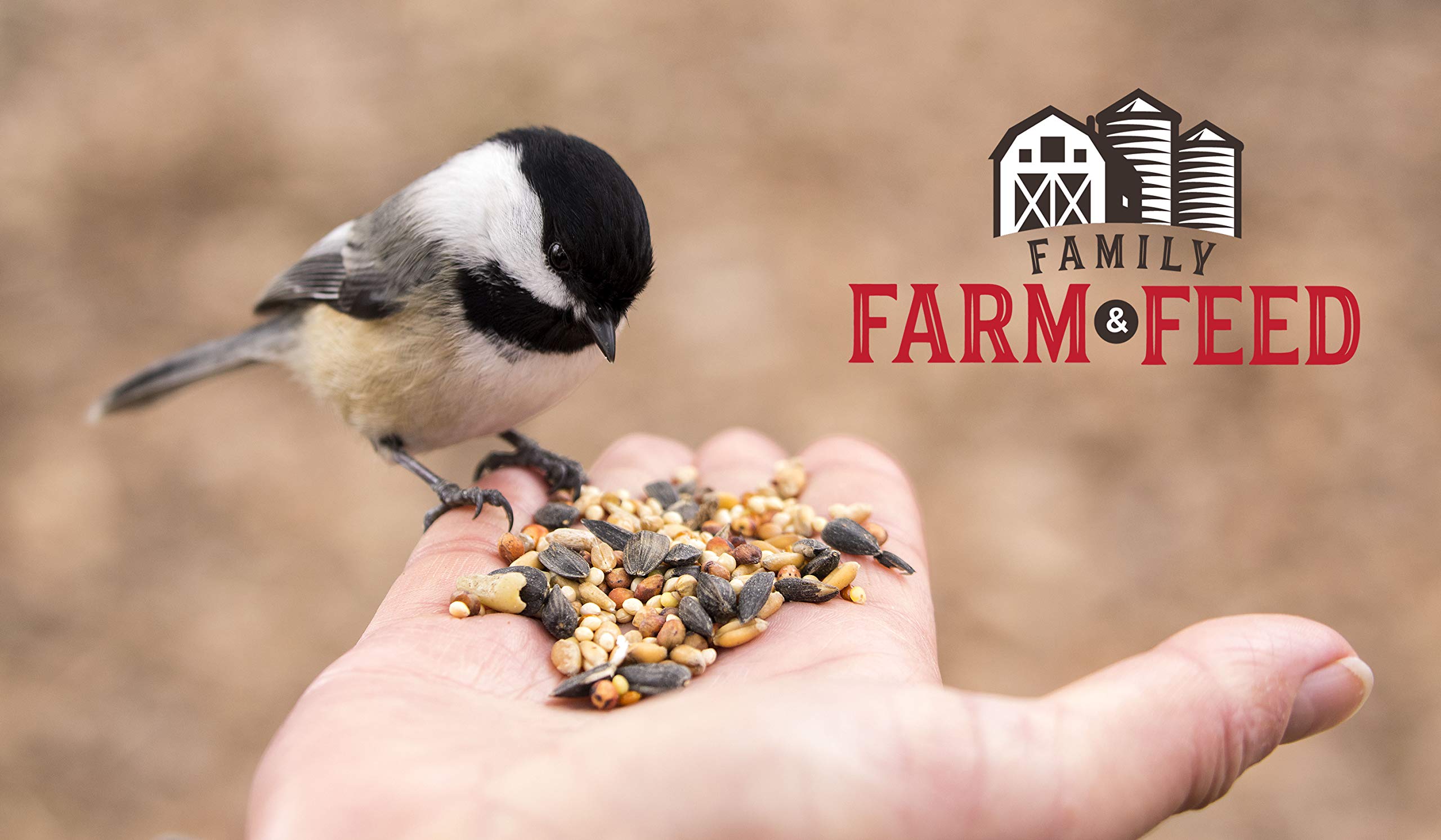 FAMILY FARM AND FEED | Four Season | City Blend | Fancy Wild Bird Food | Backyard Songbird| 4 Pounds