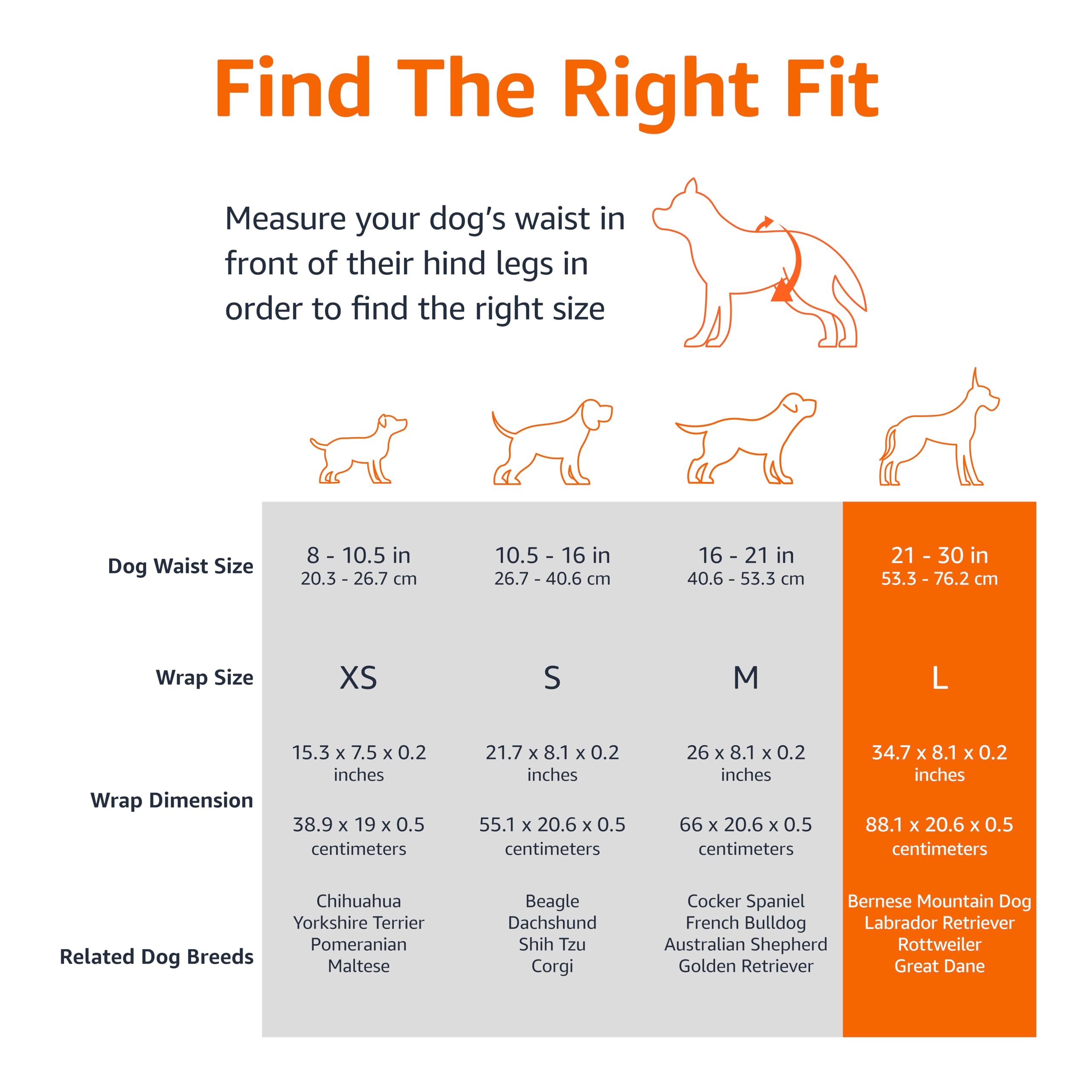 Amazon Basics Male Dog Diapers, 30 Count, Large, Ultra Absorbent Disposable Wrap With Secure Fit, Leakproof And Comfortable