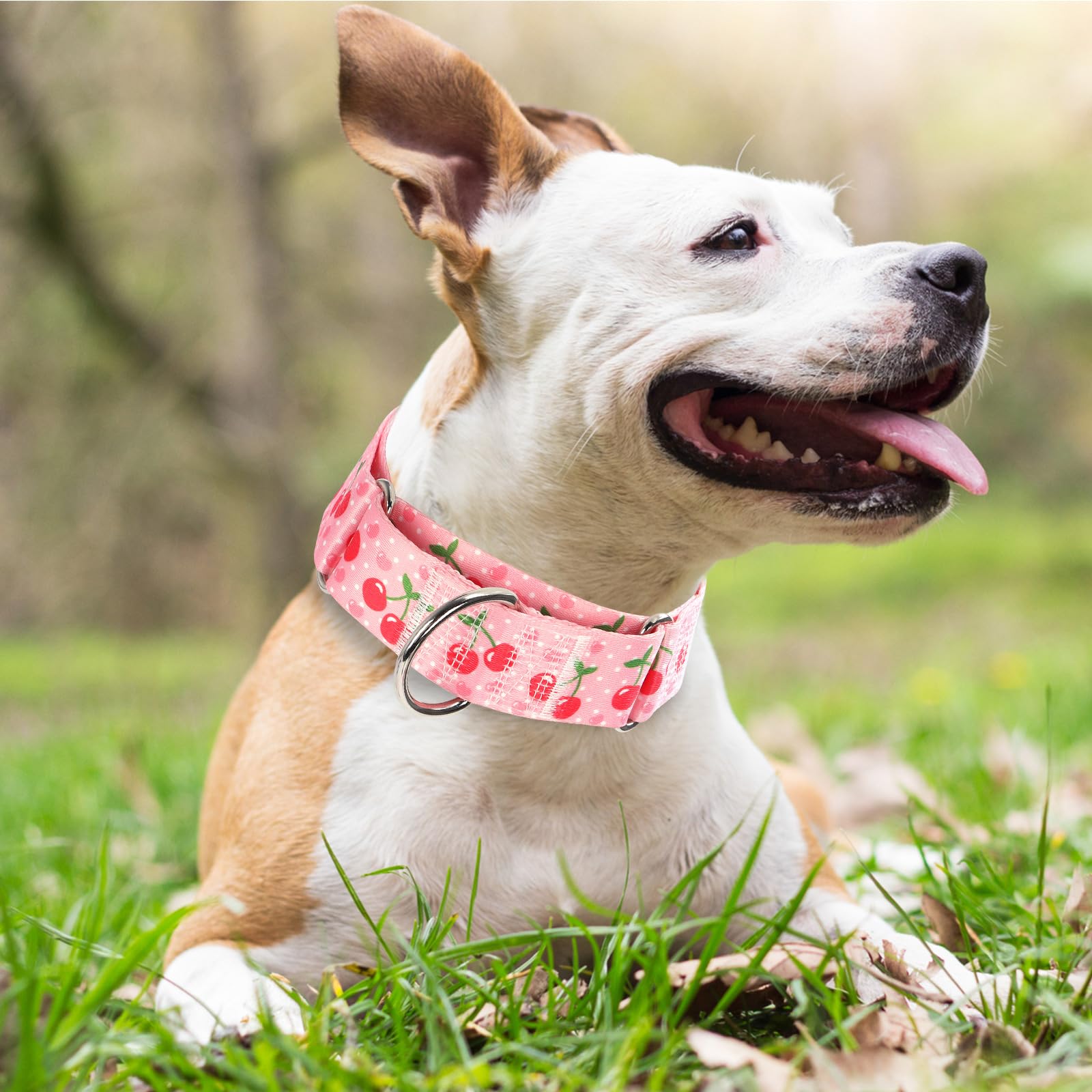 1.5 Inch Wide Martingale Collar For Large Dogs,Big Thick Dog Collarno-Slip Escape Proof Choke No Pull Cinch For Male And Female