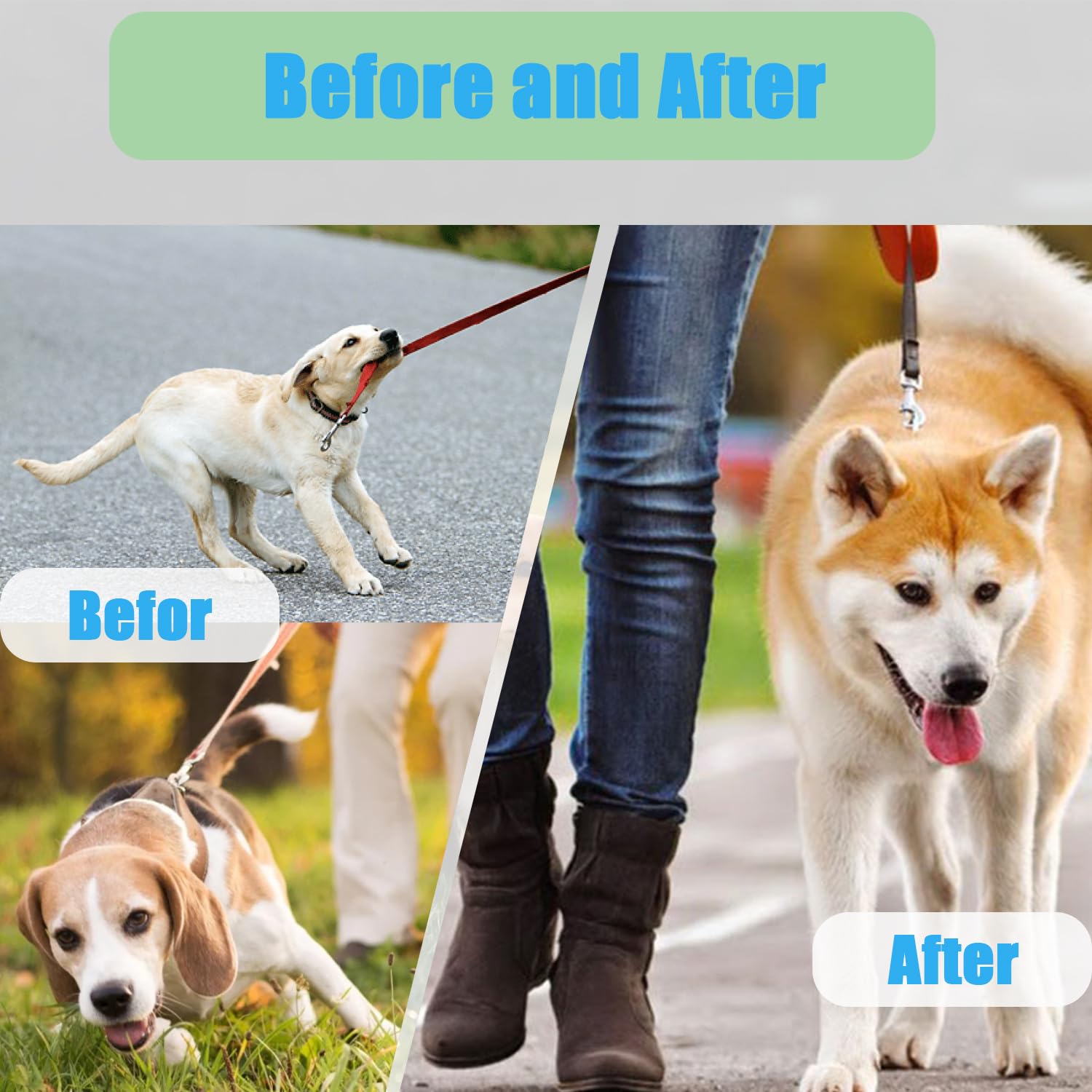 Prong Training Collar for Dogs, Adjustable Dog Training Pinch Collar with Quick Release Buckle, No Pull Collar for Small Medium