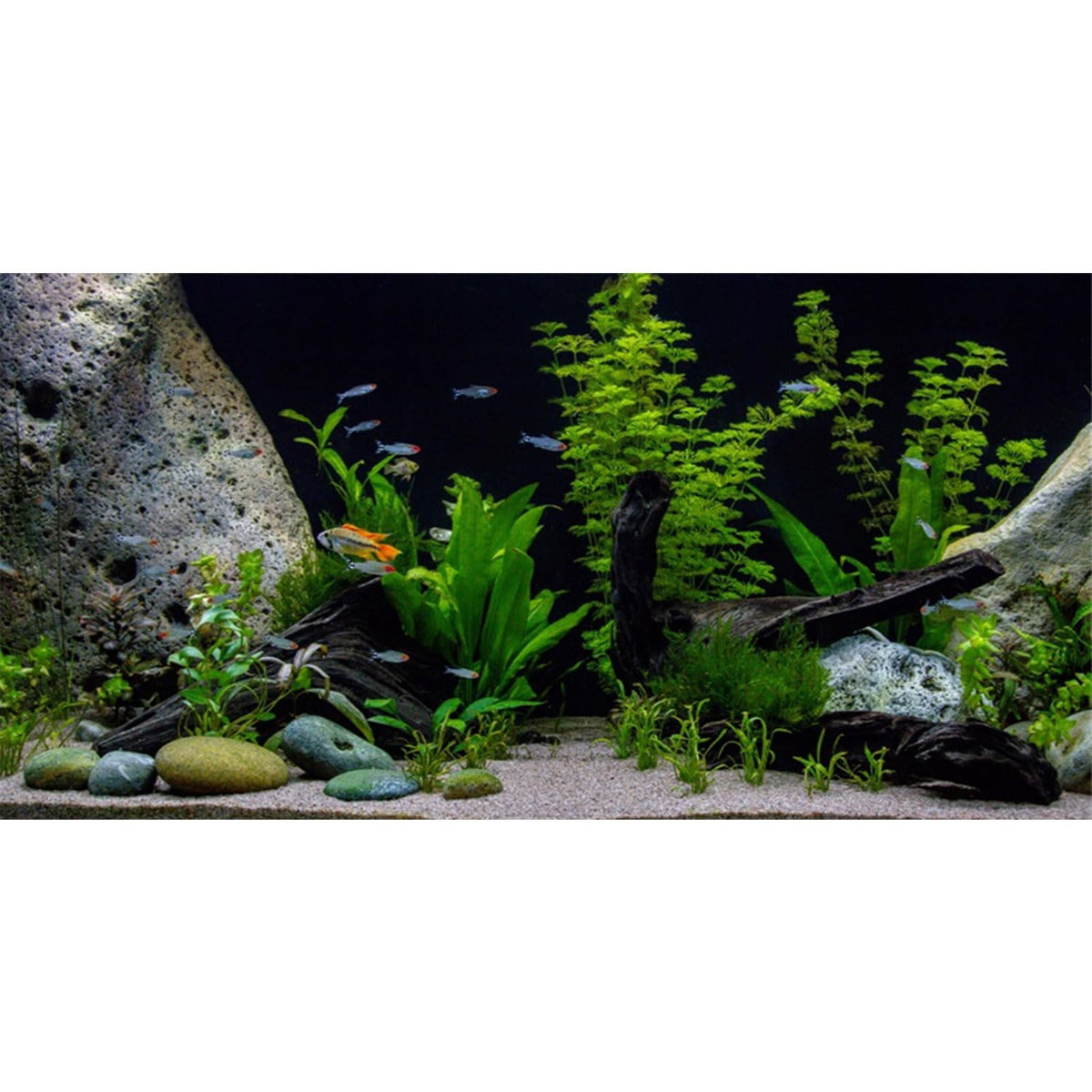 Awert Vinyl Underwater Aquatic Plant Fish Tank Background Stone River Bed & Lake Aquarium Background 30X18 Inches