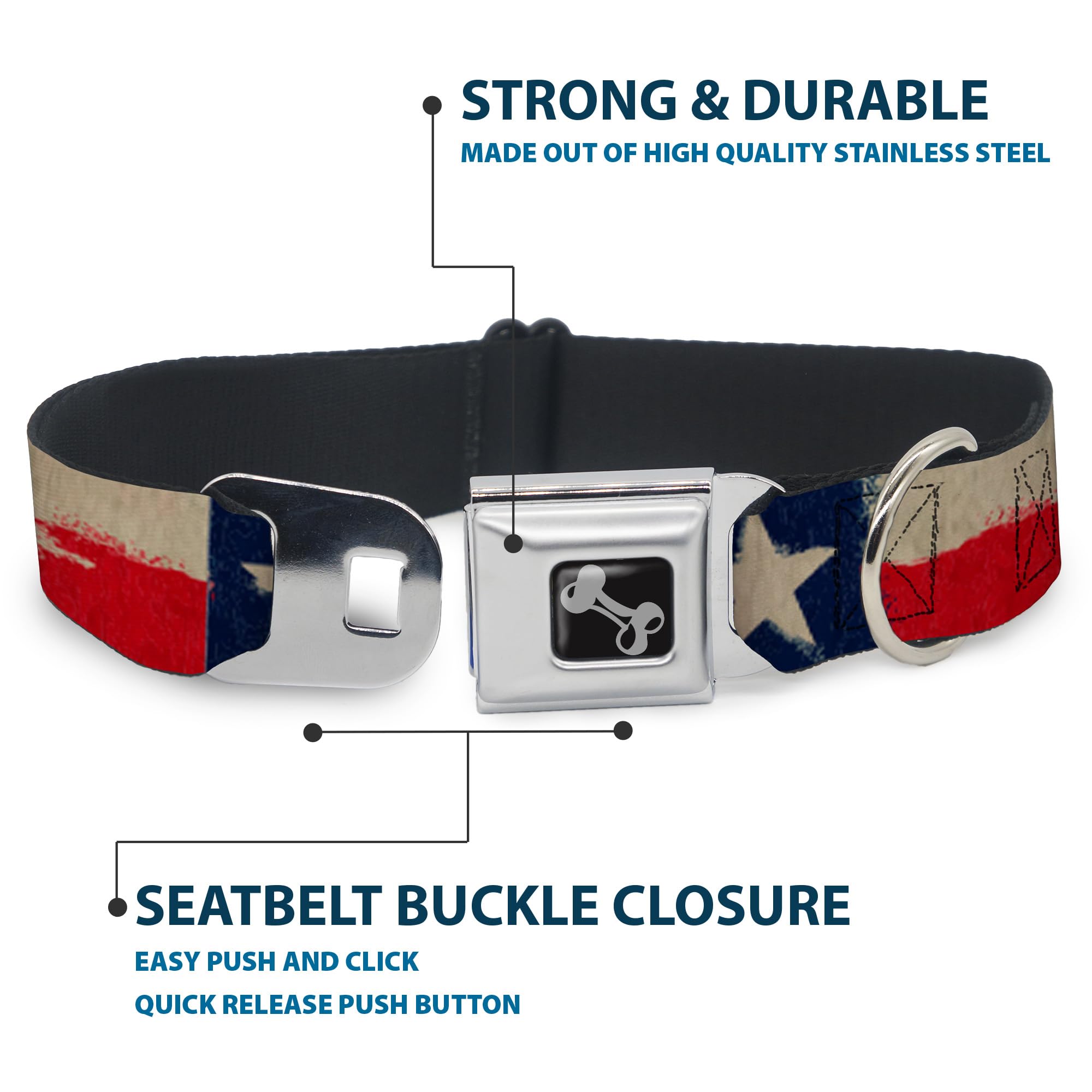 Buckle-Down Dog Collar Seatbelt Buckle Texas Flag Close Up Distressed Painting, Multicolor, 1' Wide - Fits 15-26' Neck - Large