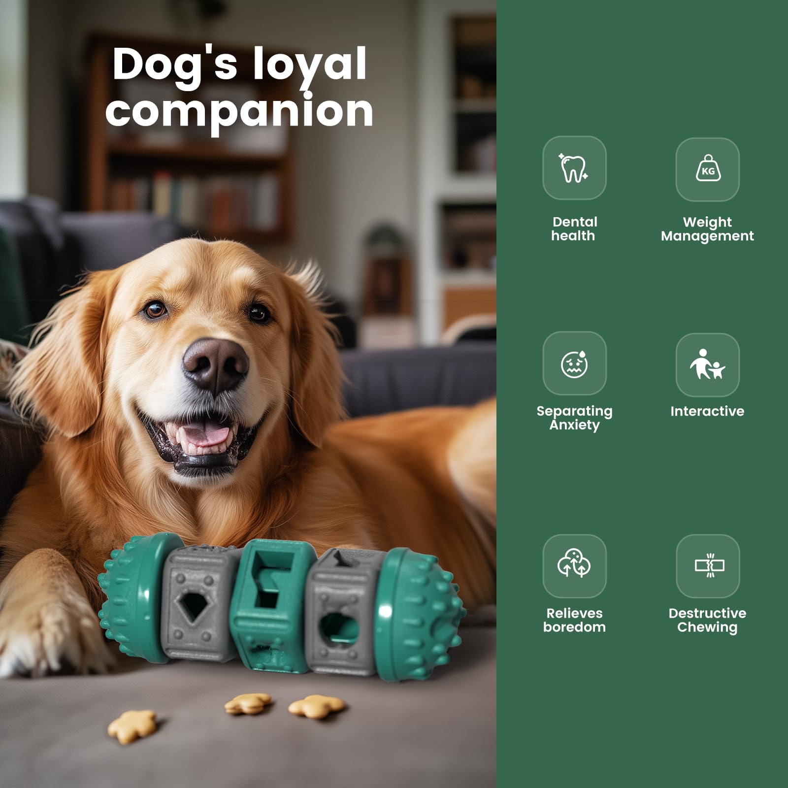 Gardner Pet Dog Puzzles, Treat Dispensing Dog Toys, Alternative to Slow Feeder Dog Bowls, Teeth Cleanning Dog Interactive Toys f