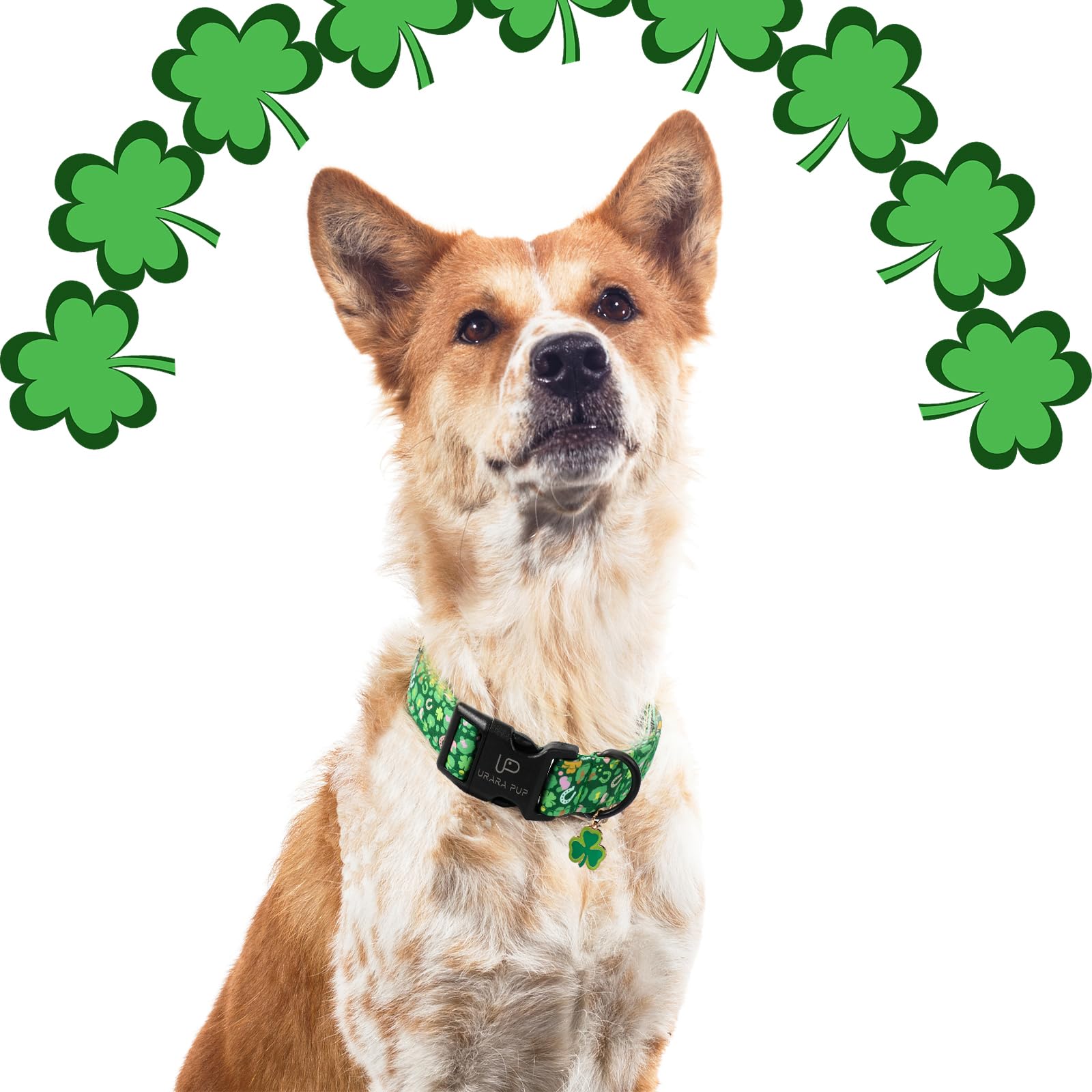 Up Urara Pup St. Patrick'S Dog Collar, Cotton St. Patricks Clover Collar For Puppy Girl Boy Dog Or Cat, Lucky Shamrock Dog Colla