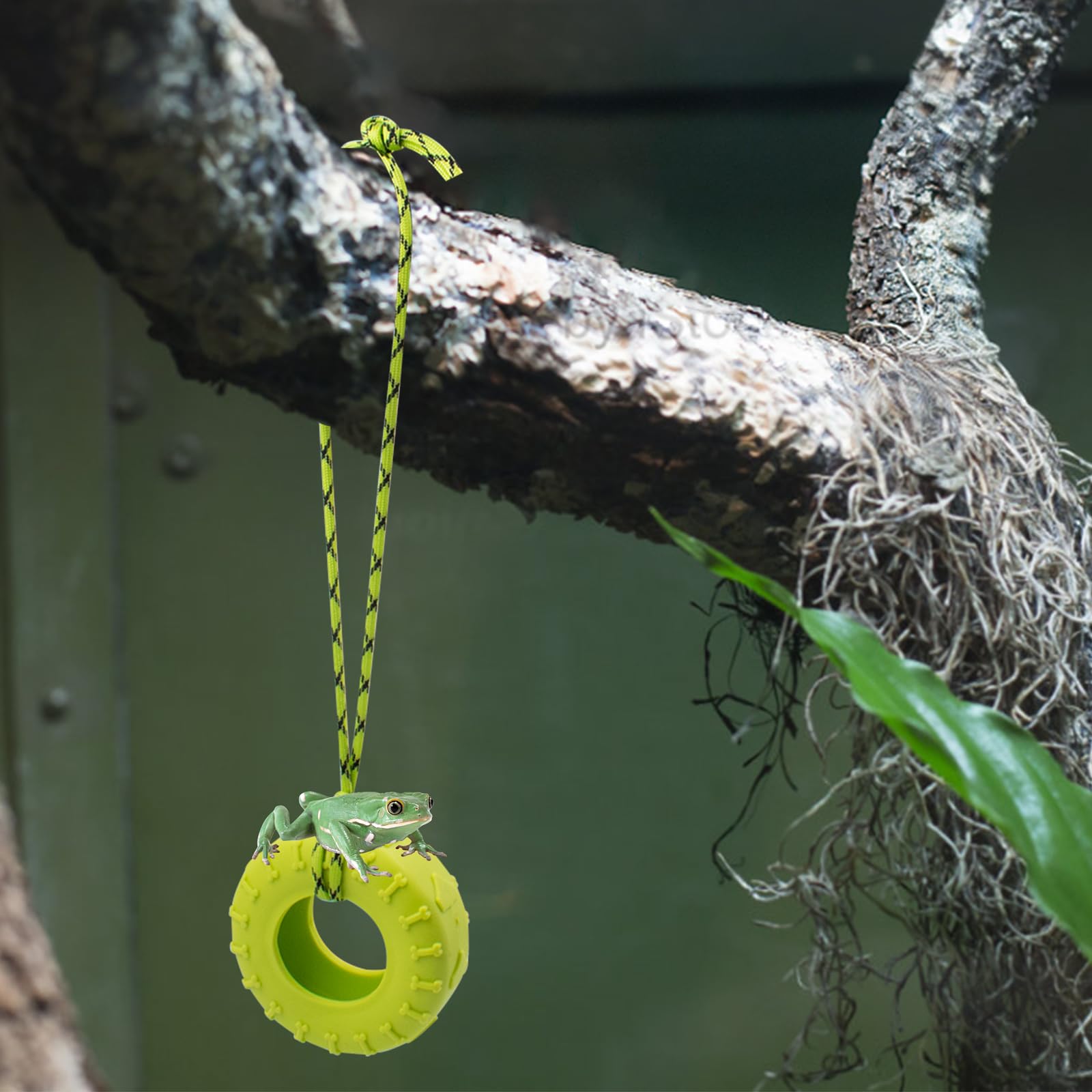 2 Pcs Tree Frog Toy Tire Swing Tree Frog Habitat Miniature Tire Swing With 3 Suction Cup Hook Frog Tank Accessories Terrarium De