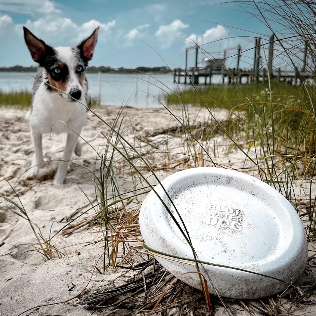 Bluewater Dog Flying Disc Soft Dog Toy, Floats in Water & Safe on Teeth - for Large Dogs