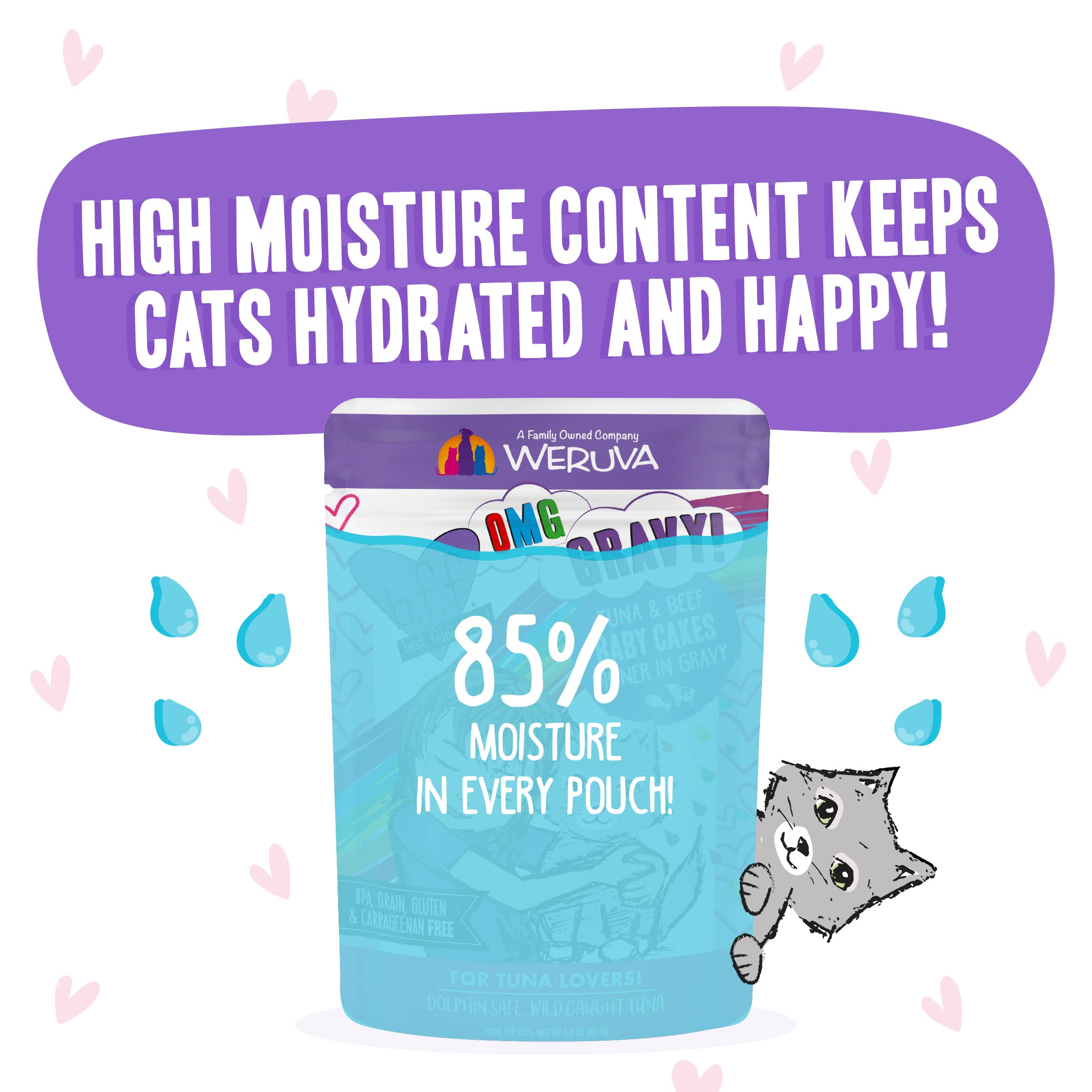 Weruva B.F.OMG - Best Feline Friend Oh My Gravy!, Tuna & Beef Baby Cakes with Tuna & Beef in Gravy Cat Food, 3oz Pouch (Pack of