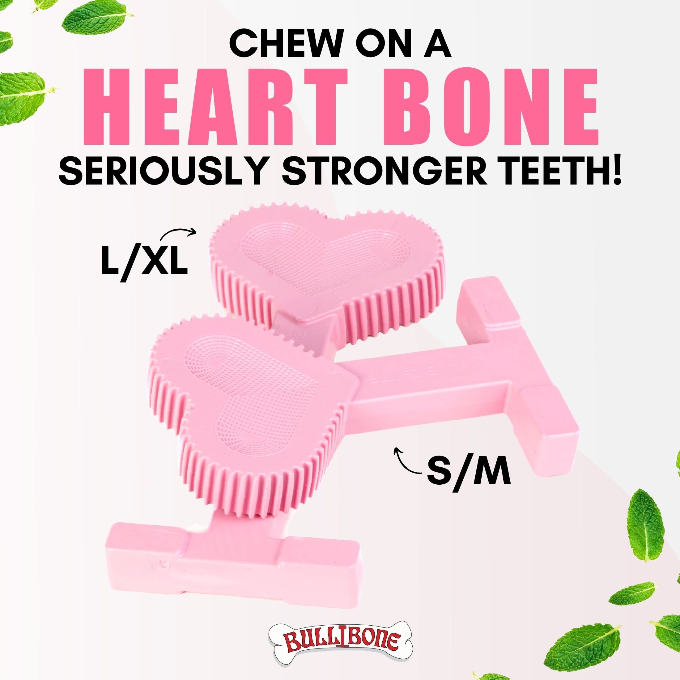 Bullibone Nylon Dog Chew Toy Nylon Bone - Improves Dental Hygiene, Easy To Grip Bottom, And Permeated With Flavor (Peppermint, Small - 2 Pack)