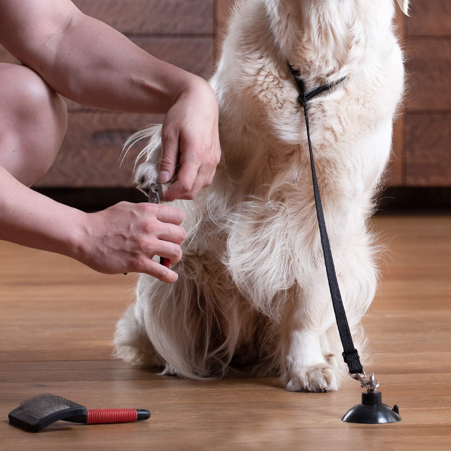 Dog Bathing Tether With Suction Cup For Pet Shower And Grooming