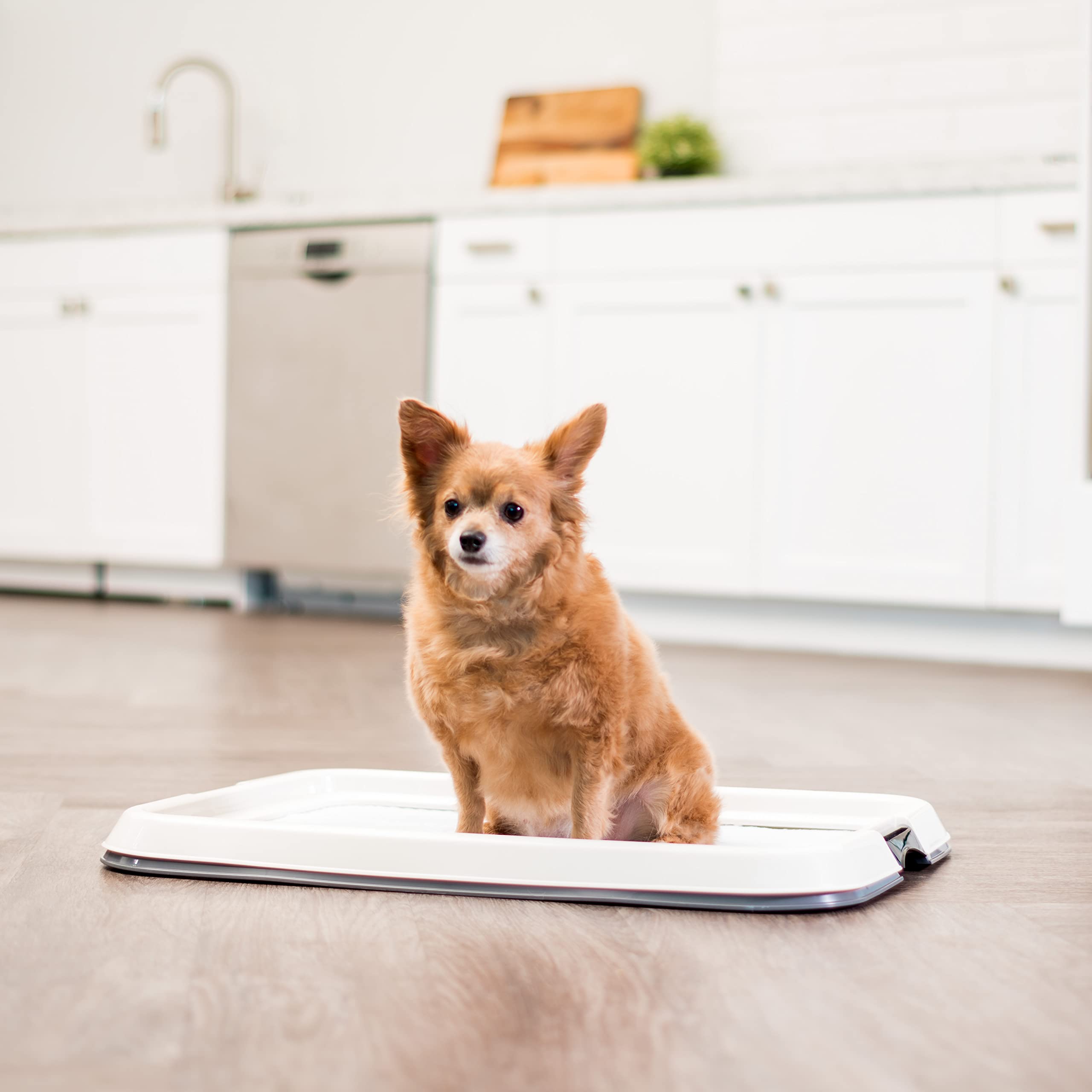 Iris Usa Pet Training And Puppy Pad Holder, Gray