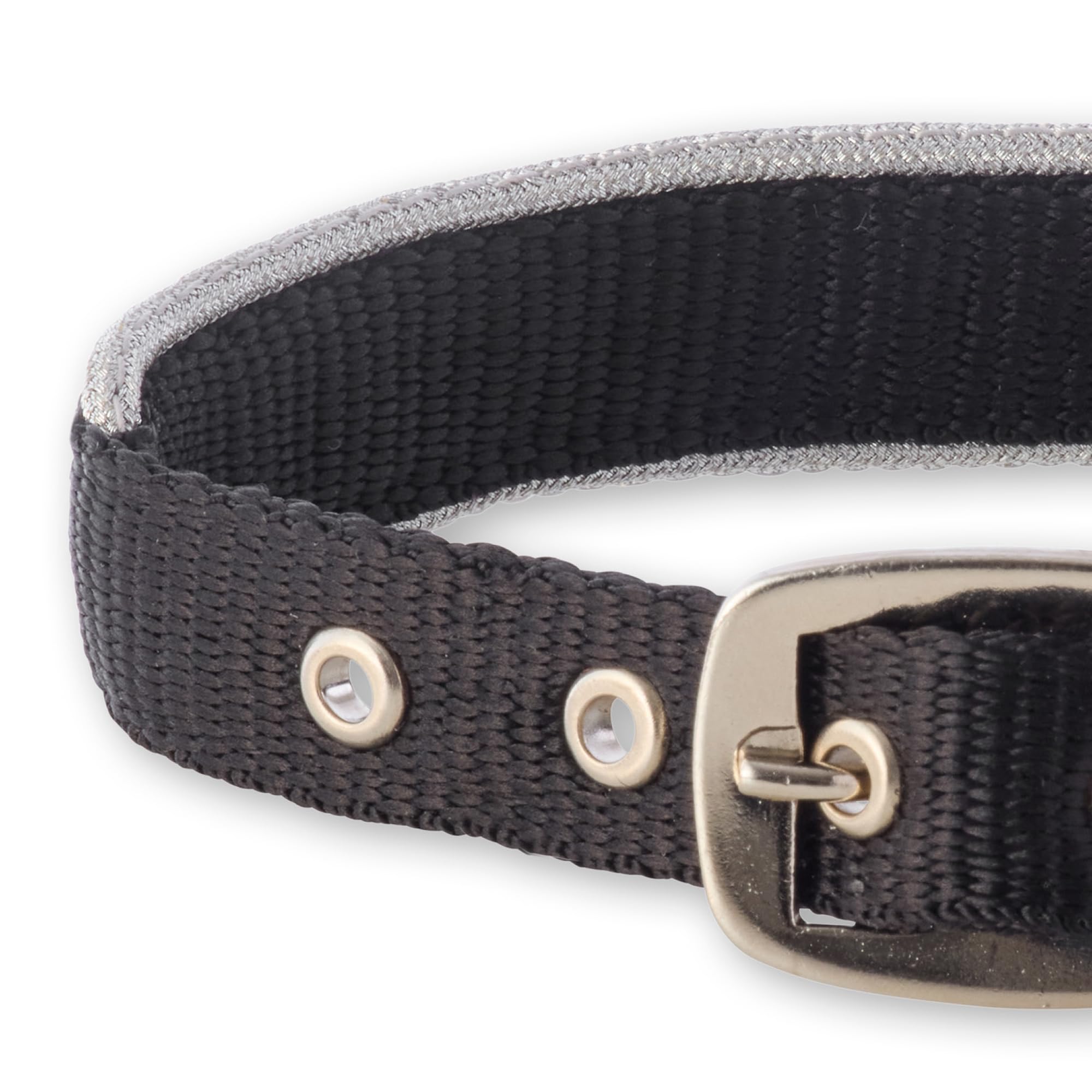 Pet Passion Adjustable Silver Trimmed Dog Collar For Pets Small, Medium And Large Dogs, Silver Black, Small