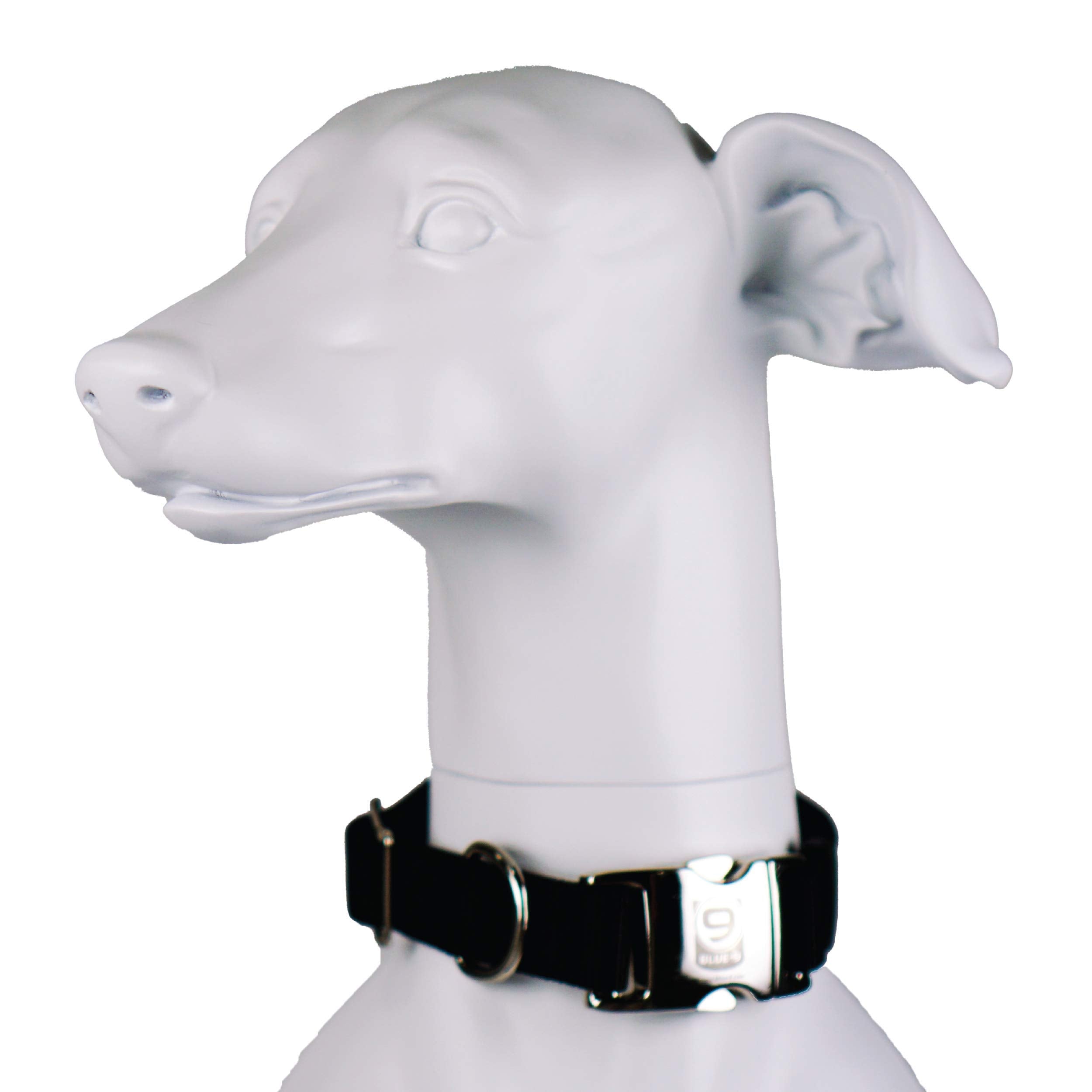 Blue-9 Secure Pro Dog Collar For Obedience, Training, And Identity, Durable And Adjustable Collar With Metal Buckle Dogs, Made I