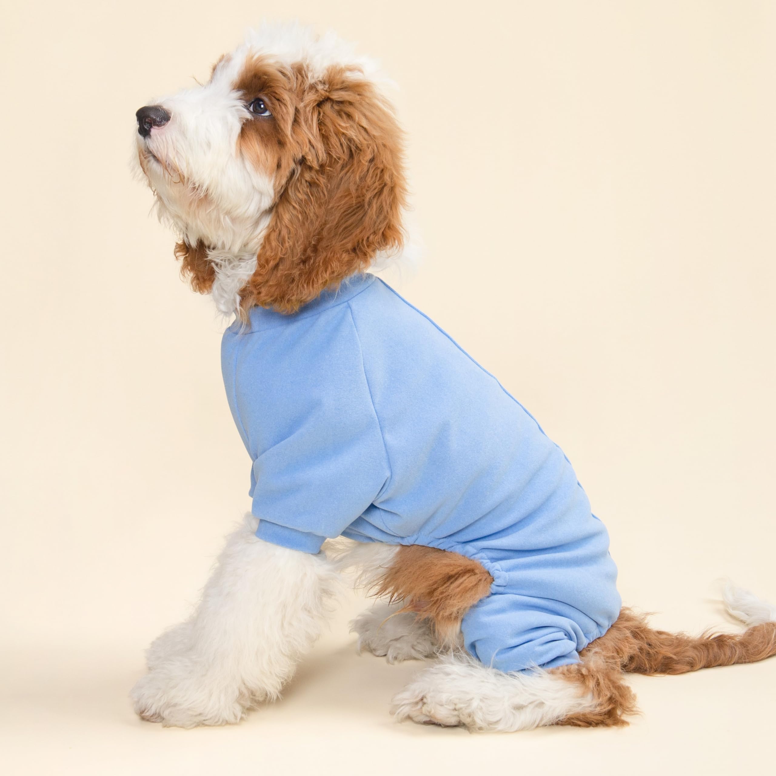 Fitwarm 2 Pack Lightweight Fleece Dog Pajamas, Warm Winter Dog Clothes for Small Dogs Boy Girl, Fuzzy Pet Onesie with Feet, Ligh