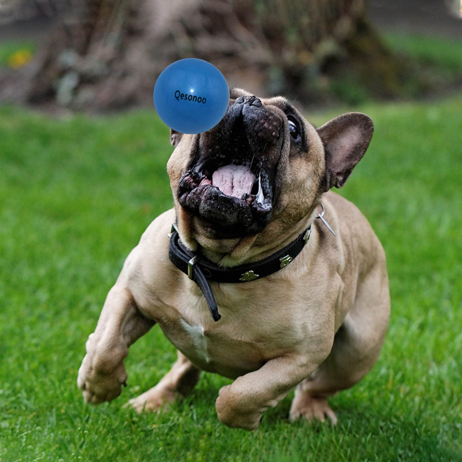 Qesonoo Dog Balls Indestructible,Solid Rubber Bouncy for Dogs Aggressive Chewers Large Breed,Non-Toxic&Floating&High Elasticity,