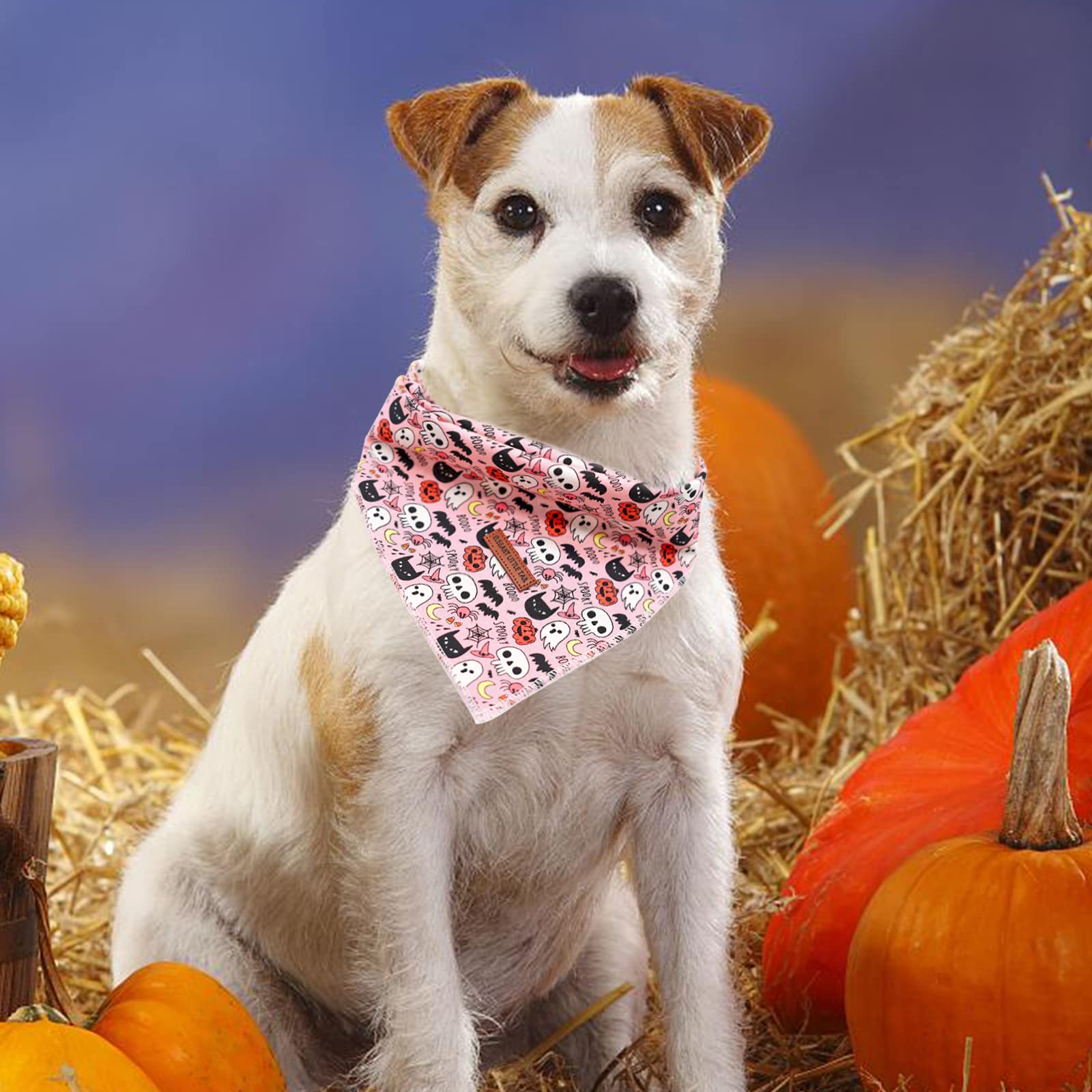 Elegant Little Tail Dog Bandana, Halloween Pumpkin Girl Boy Dog Bandanas For Small Medium Large Dogs Washable Square Dog Scarf A