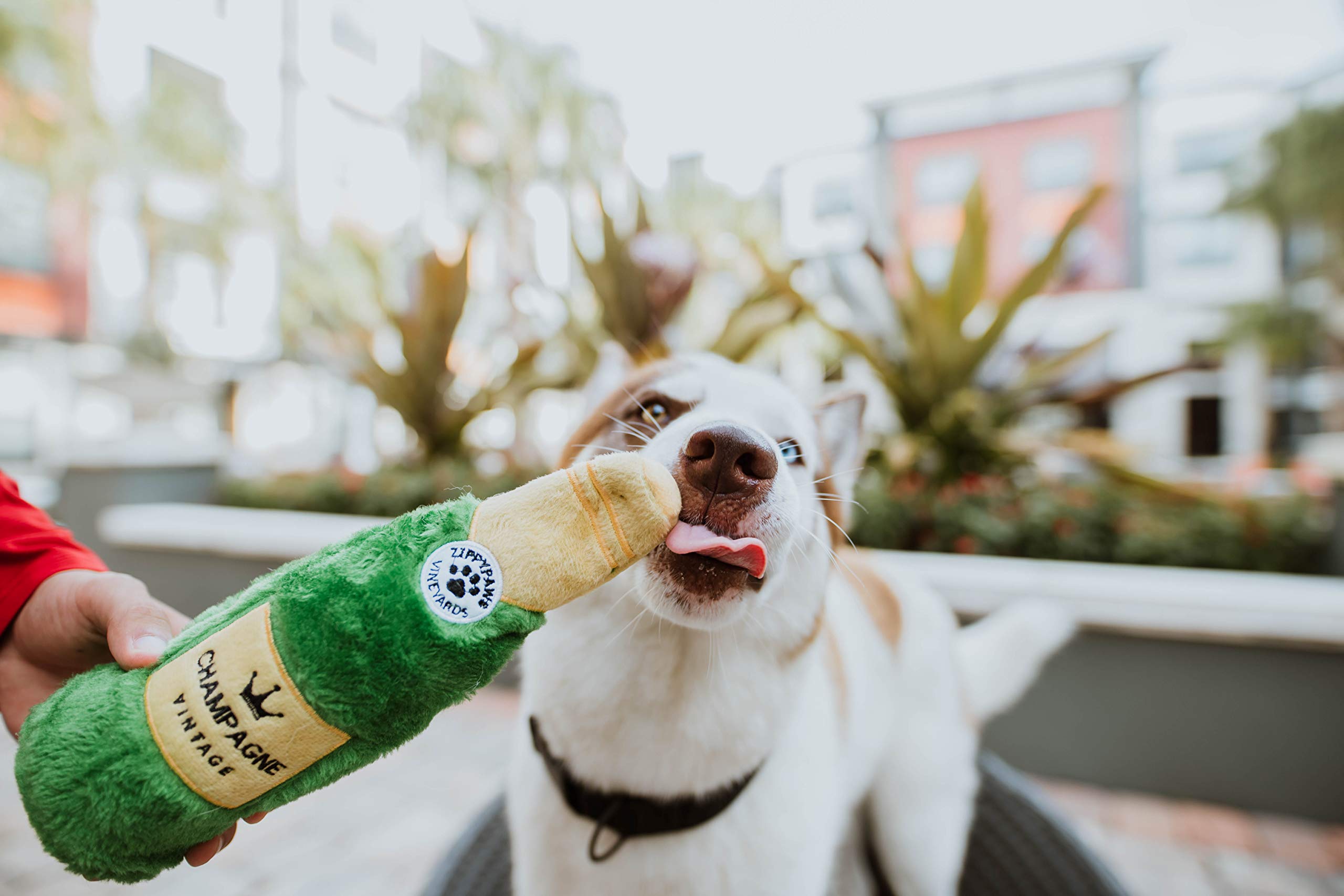 Zippypaws Happy Hour Crusherz - Zippy Paws Dog Toy For Large And Small Dogs, Crinkle Dog Toy With No Stuffing, Squeaky Dog Toy Pack Of 1, Champagne