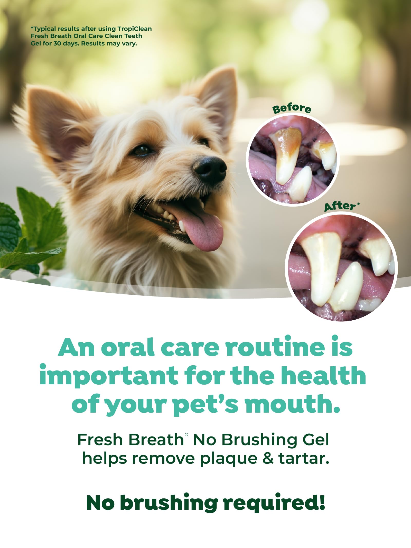 TropiClean Dog Dental Care Gel - Breath Freshener & Easy Teeth Cleaning - 2 oz - Original