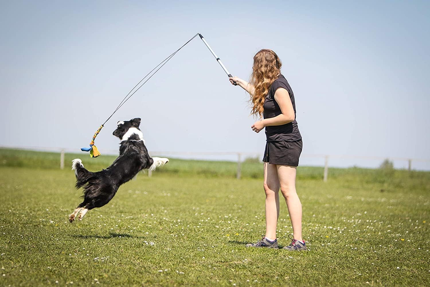 Yes4Quality Flirt Pole For Dogs - Safe & Strong For Large Breeds W/Non-Bungee Cord - Spring Pole For Tug Of War, Interactive Play & Puppy Training - Heavy-Duty Teaser Wand For Outdoor Exercise