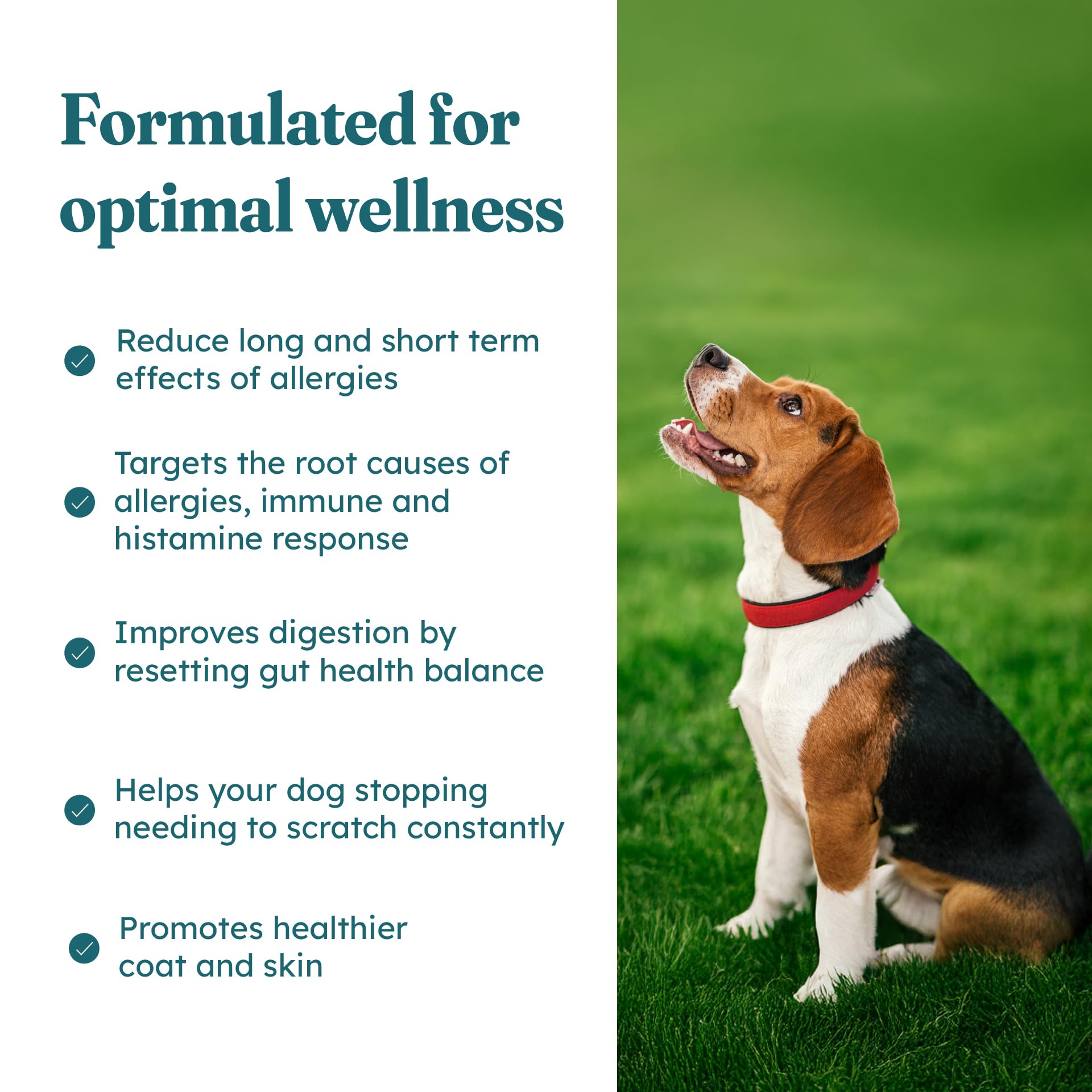 PetHeal Allergy Guard Chews for Dogs - 30 Soft Chews with Colostrum, Salmon Oil & Probiotics - Supports Immune & Skin Health