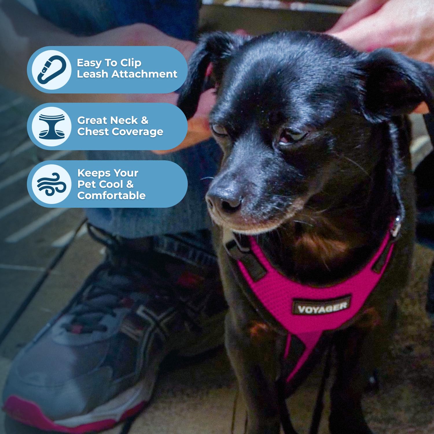 Voyager Step-in Pet Harness - All Weather Mesh, Adjustable Step in Harness for Cats and Dogs by Best Pet Supplies - Fuchsia/Blac