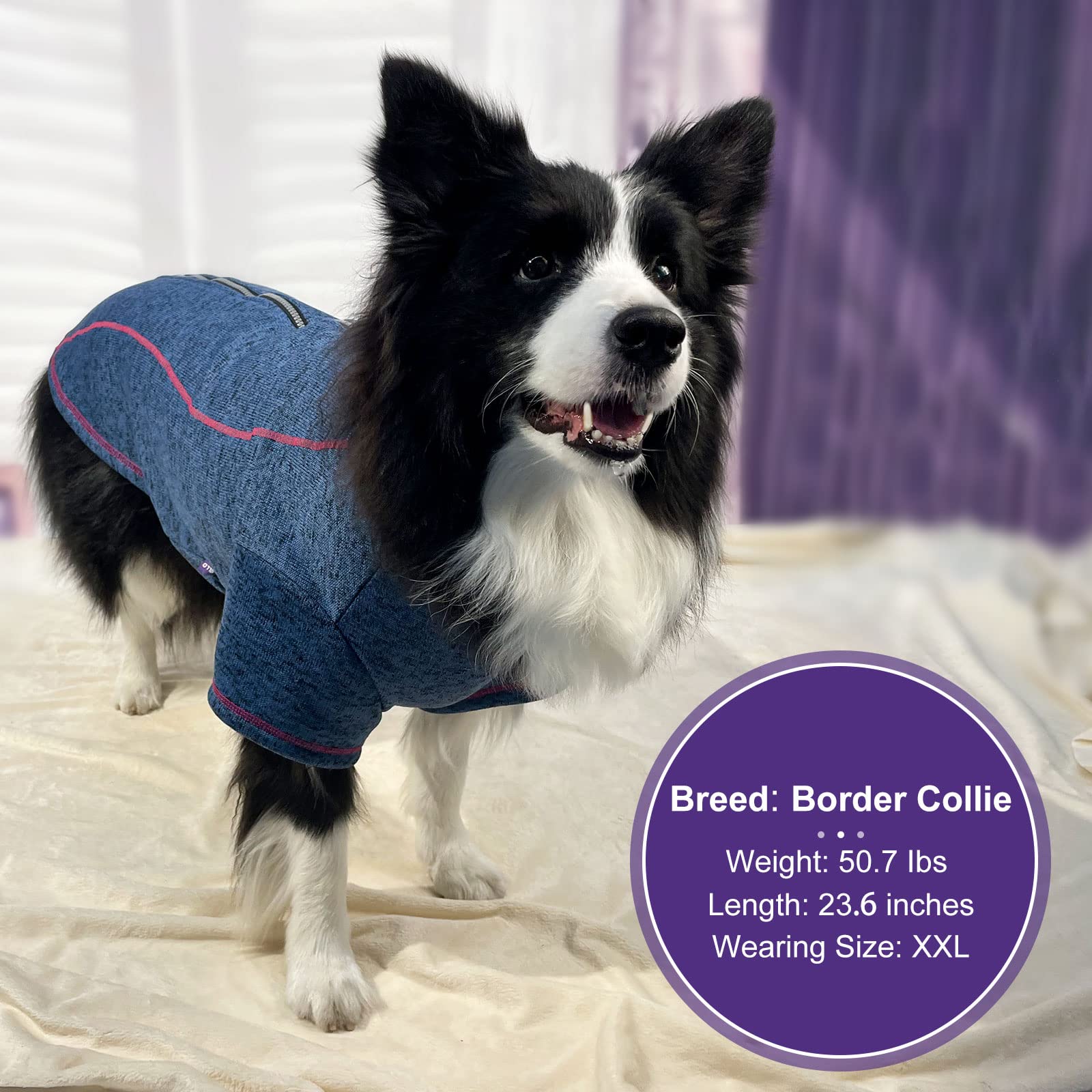 cyeollo Dog Fleece Jacket Sweater Lightweight Pet Coat Reflective Jackets Step in Zipper Warm Dog Sweaters for Medium Dogs