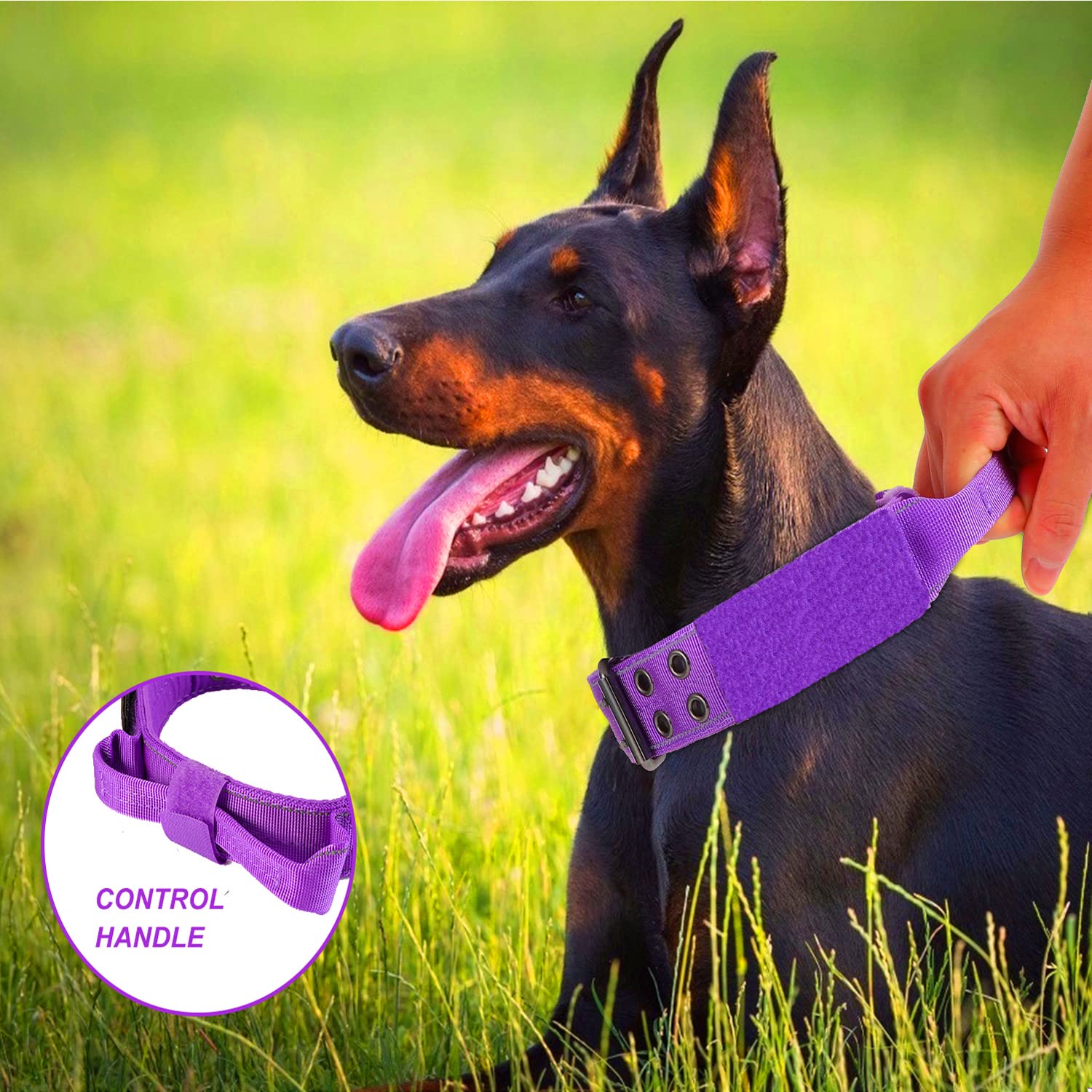 Yunleparks Reflective Dog Collar Heavy Duty Tactical With Control Handle And Metal Buckle For Dog Training(Large, Purple)