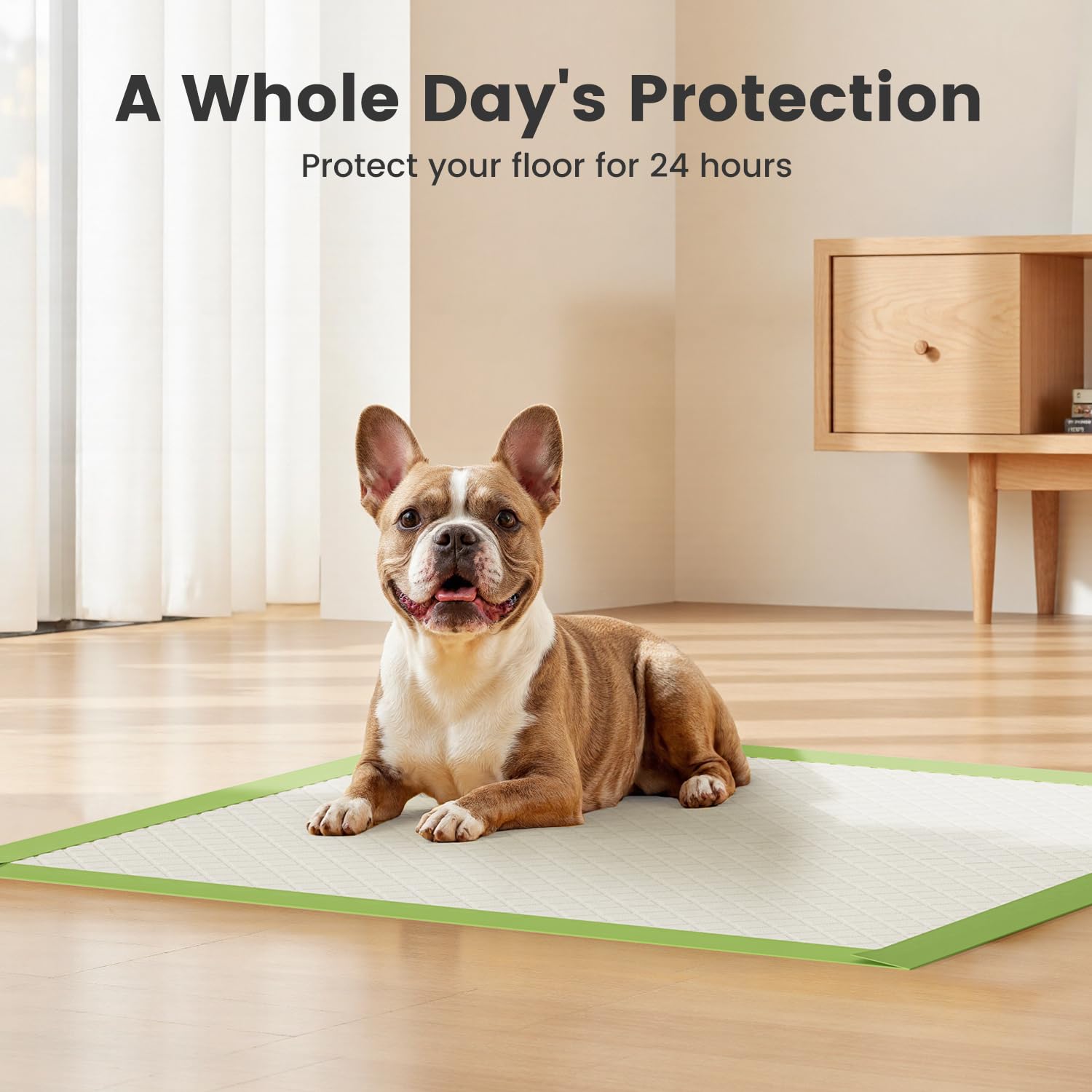 Gardner Pet Dog Pee Pads Rugular 22 x22 , Thicker ECO Green Small Disposable Puppy Training Pads Super Absorbent Full Edge-Wrapp