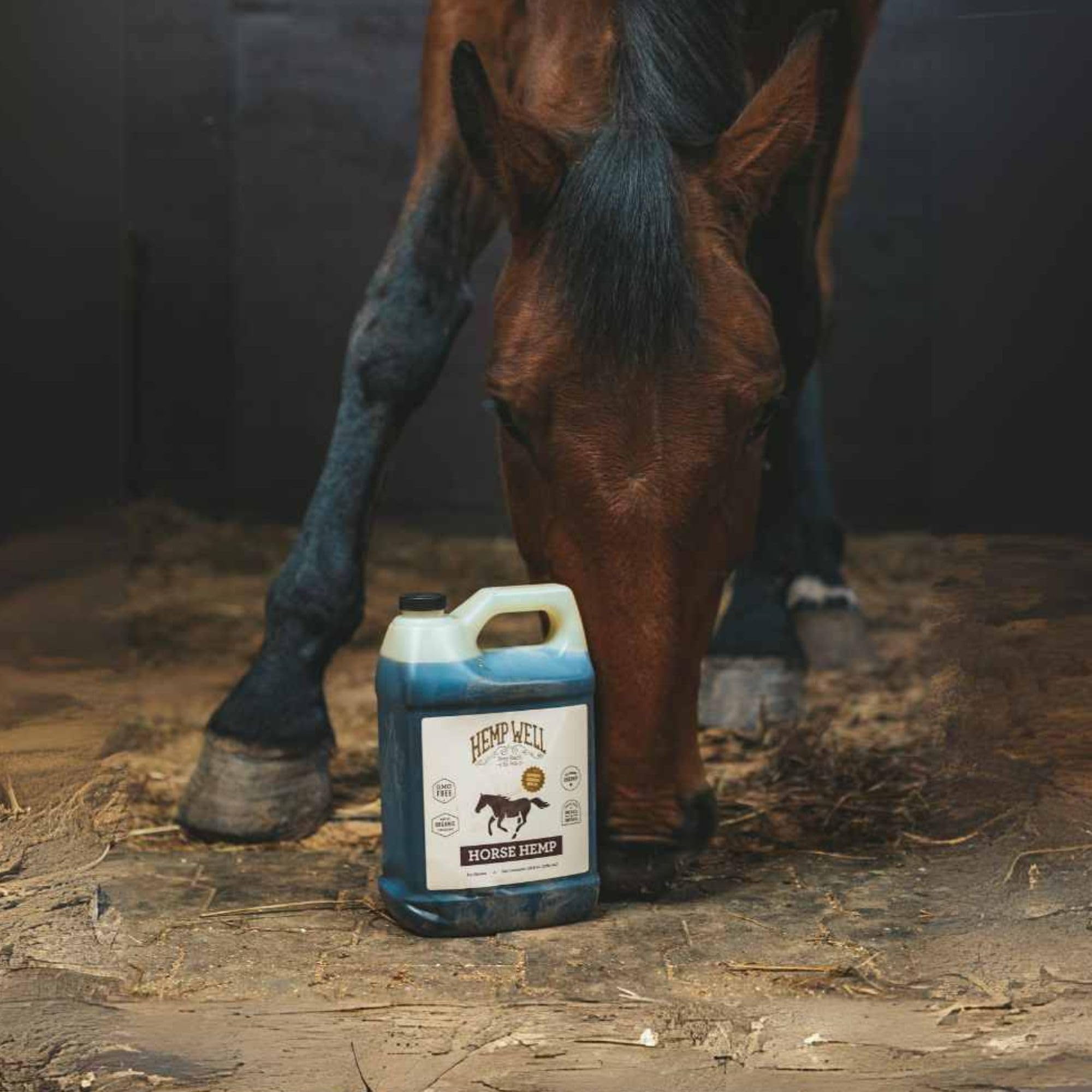 Hemp Well Thrive Oil for Horses, Everyday Supplement for Overall Health, Supports Hip, Joint, and Heart Health, Horse Joint Supp